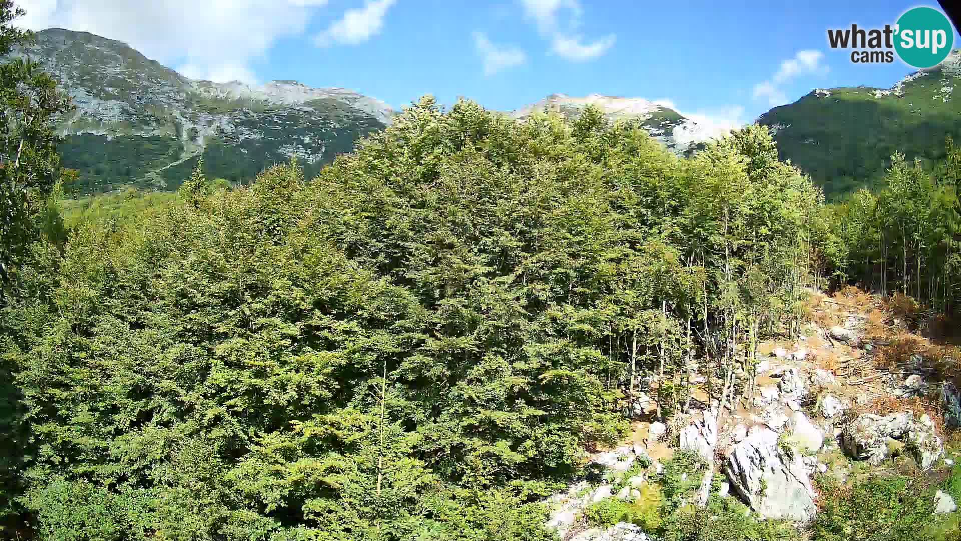 PLANINA RAZOR webcam (1315) | view to Vogel and Globoko