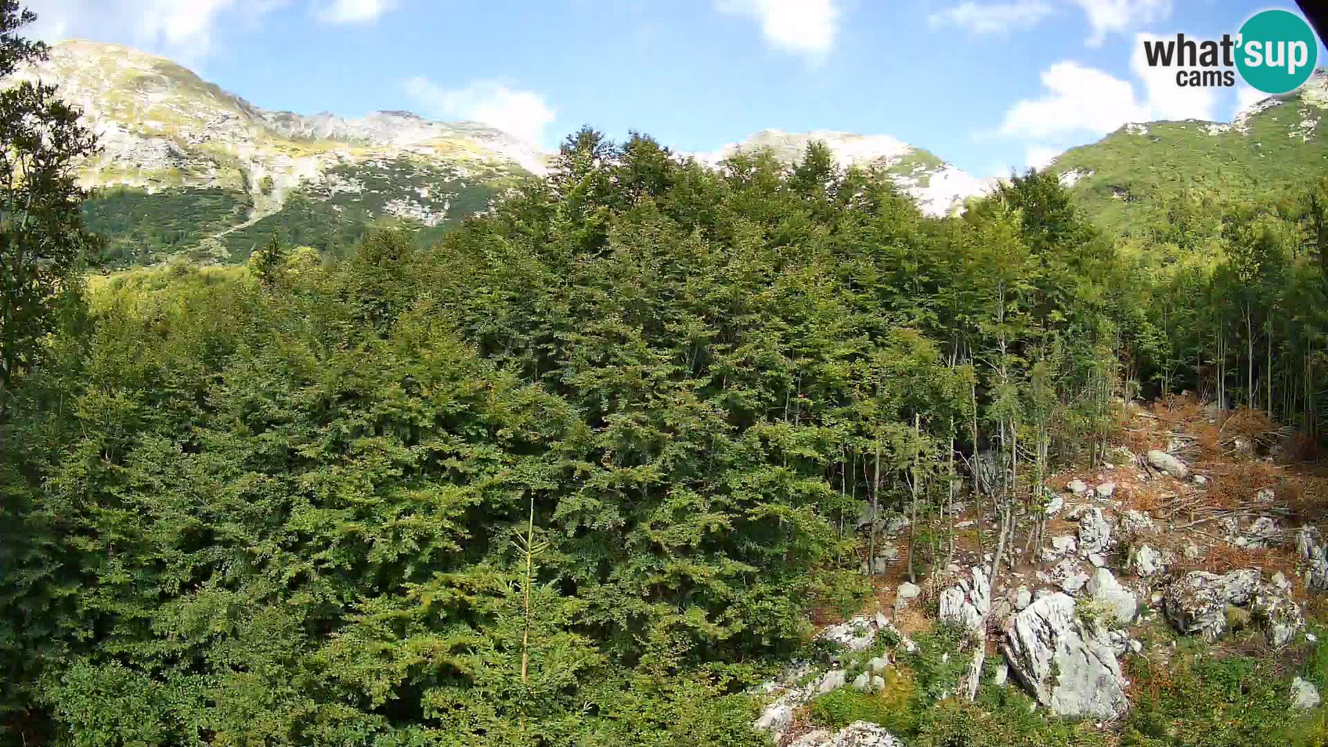 PLANINA RAZOR kamera (1315) | pogled na Vogel in Globoko