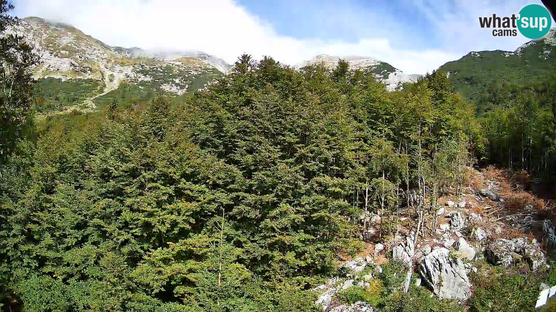 Webcam PLANINA RAZOR (1315) | Blick auf Vogel und Globoko