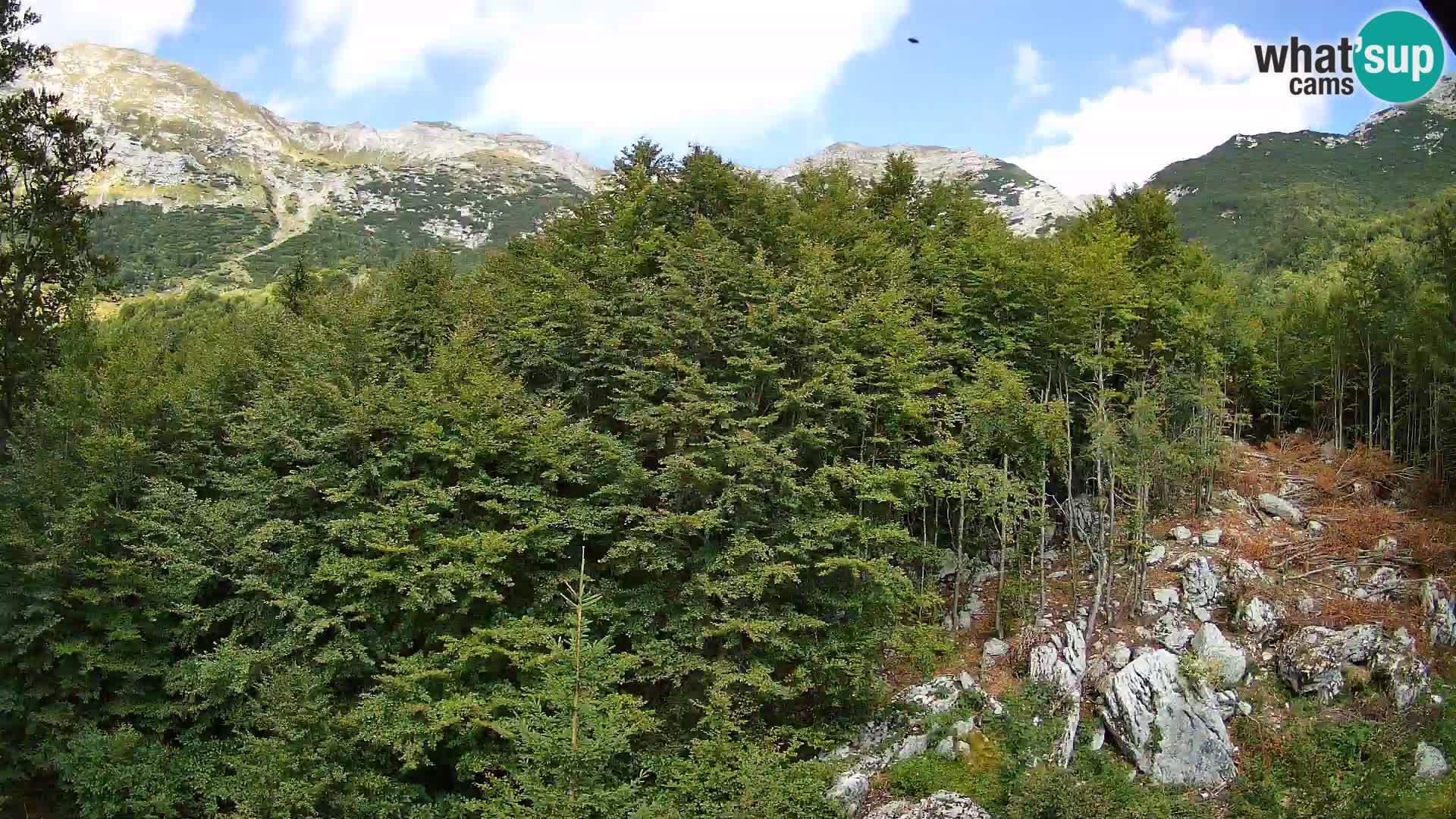 PLANINA RAZOR web kamera (1315) | pogled na Vogel i Globoko