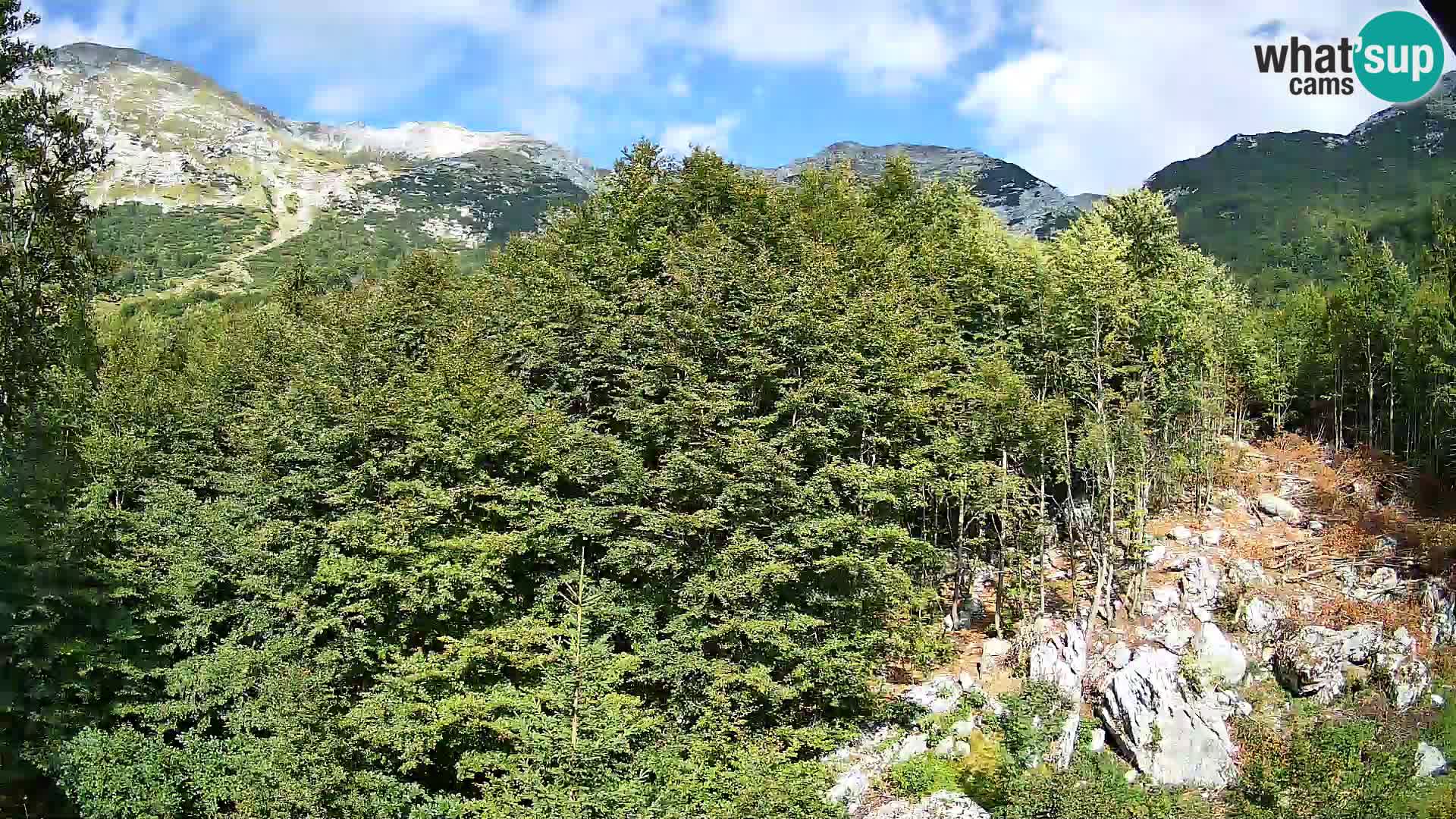 PLANINA RAZOR webcam (1315) | view to Vogel and Globoko