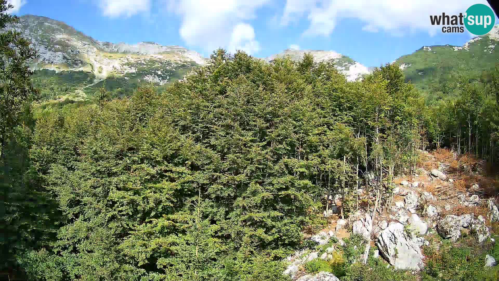 Livecam PLANINA RAZOR (1315) | vue sur Vogel et Globoko