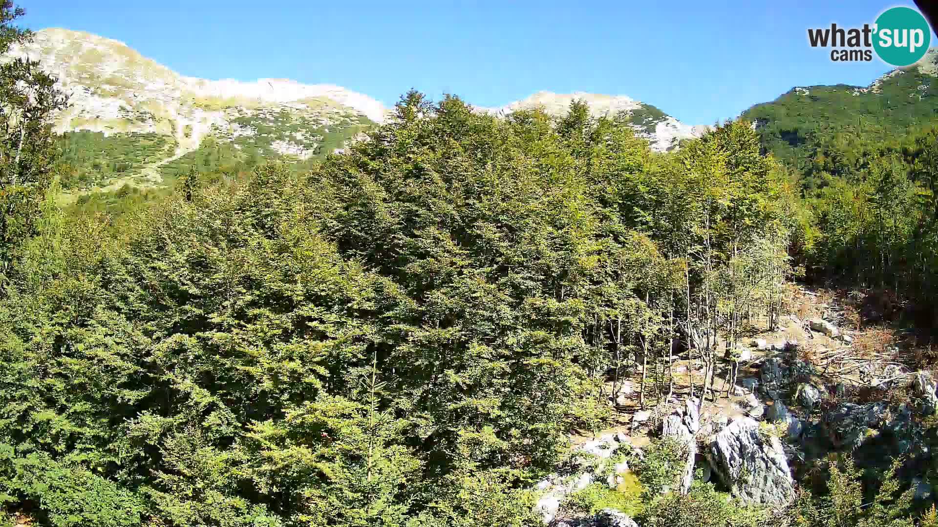 Livecam PLANINA RAZOR (1315) | vue sur Vogel et Globoko