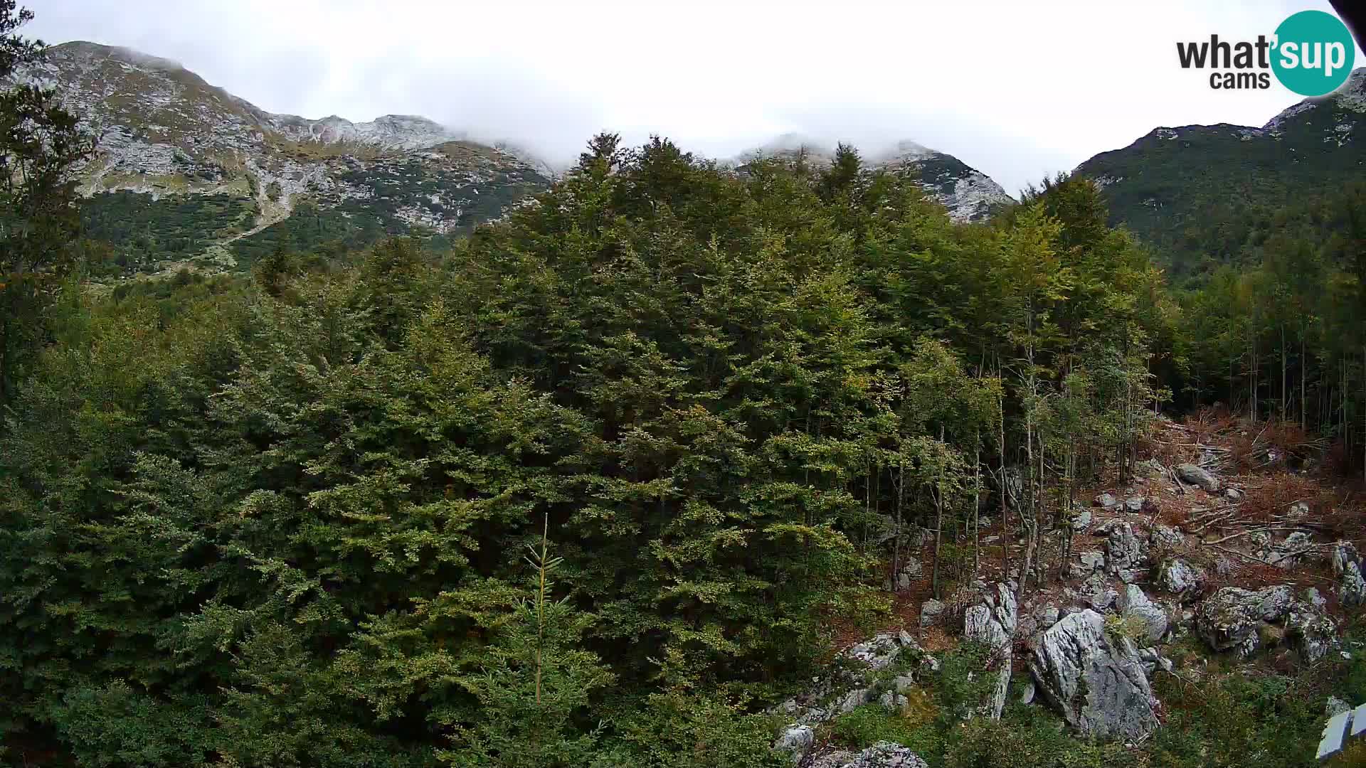PLANINA RAZOR kamera (1315) | pogled na Vogel in Globoko