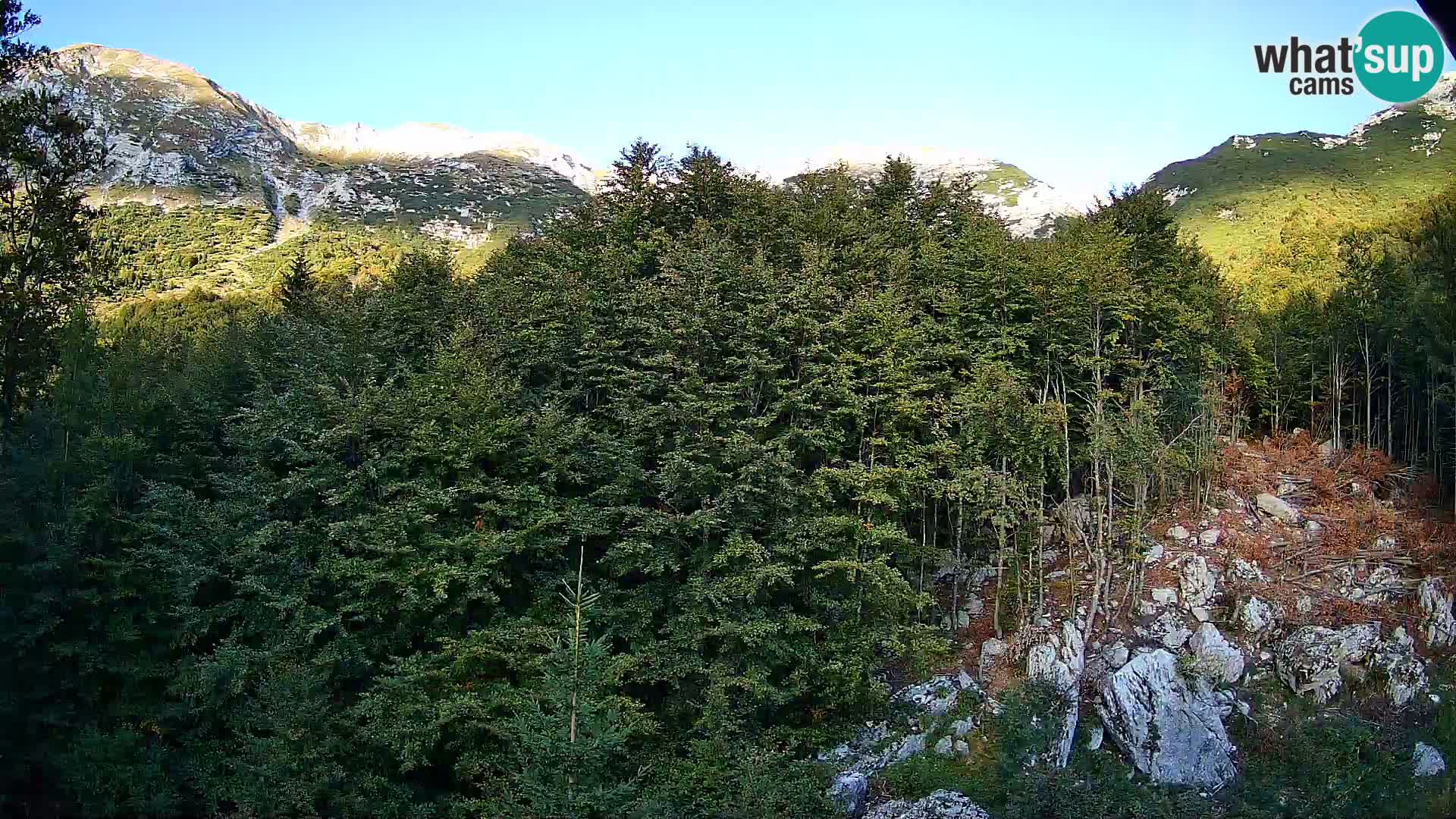 PLANINA RAZOR Live Cam (1315) | vista su Vogel e Globoko