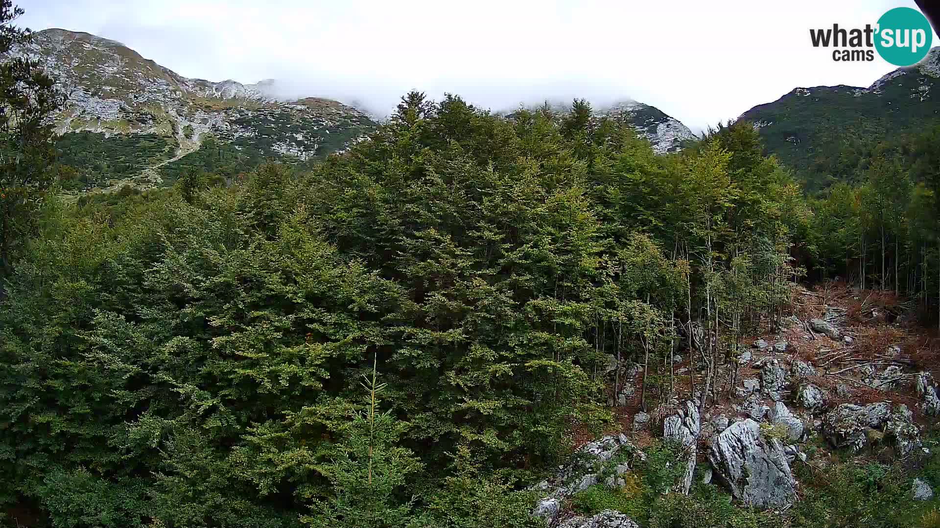 PLANINA RAZOR kamera (1315) | pogled na Vogel in Globoko