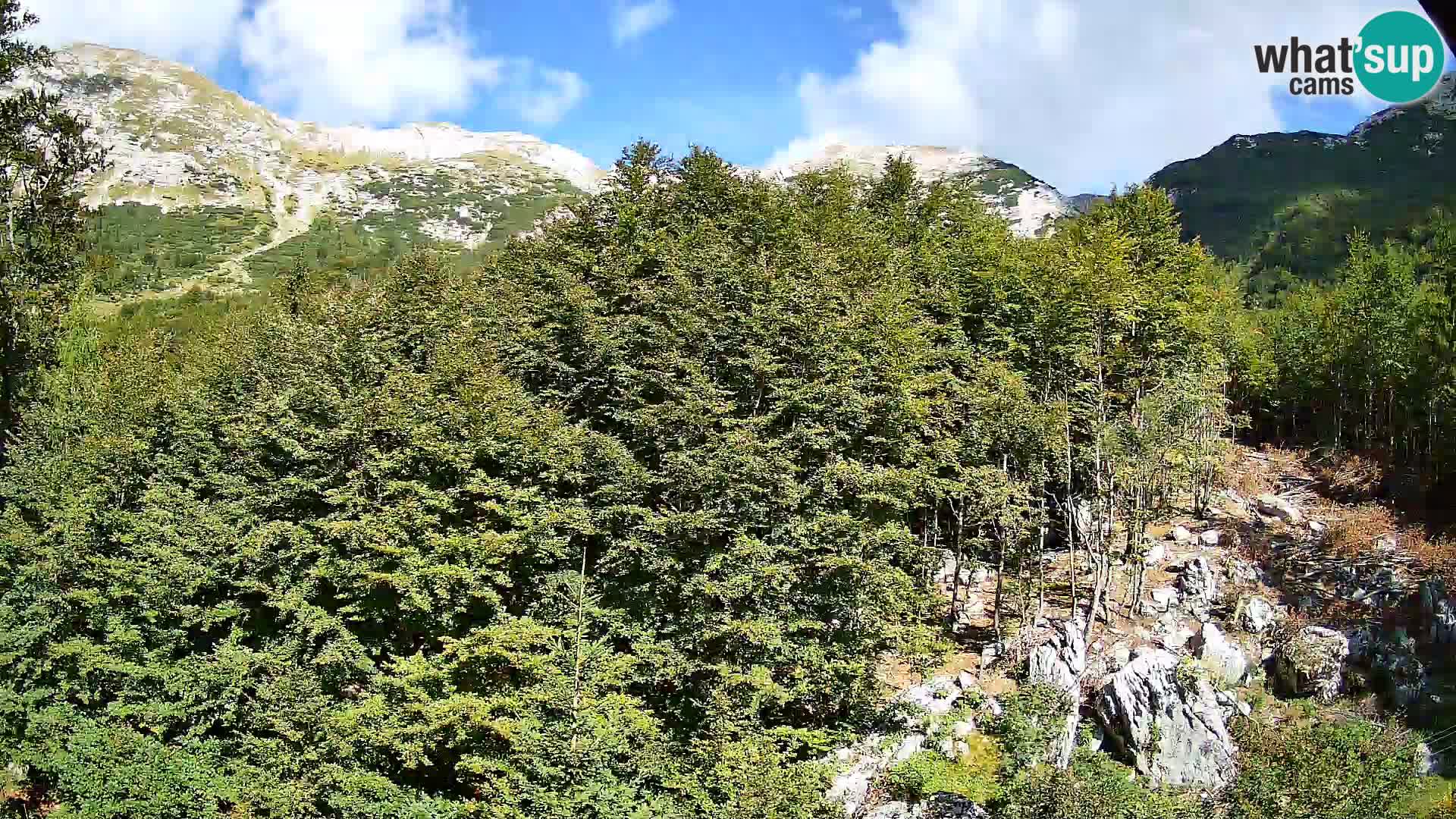 PLANINA RAZOR web kamera (1315) | pogled na Vogel i Globoko