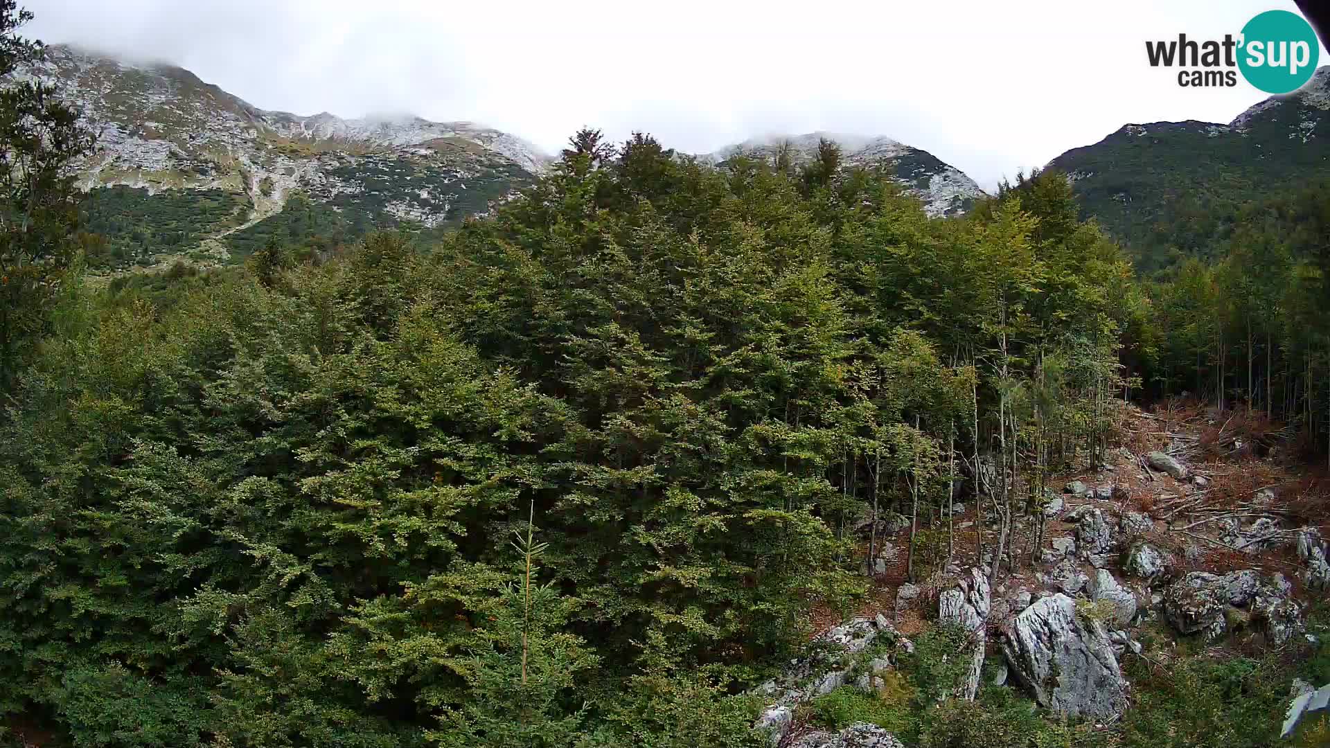 Livecam PLANINA RAZOR (1315) | vue sur Vogel et Globoko