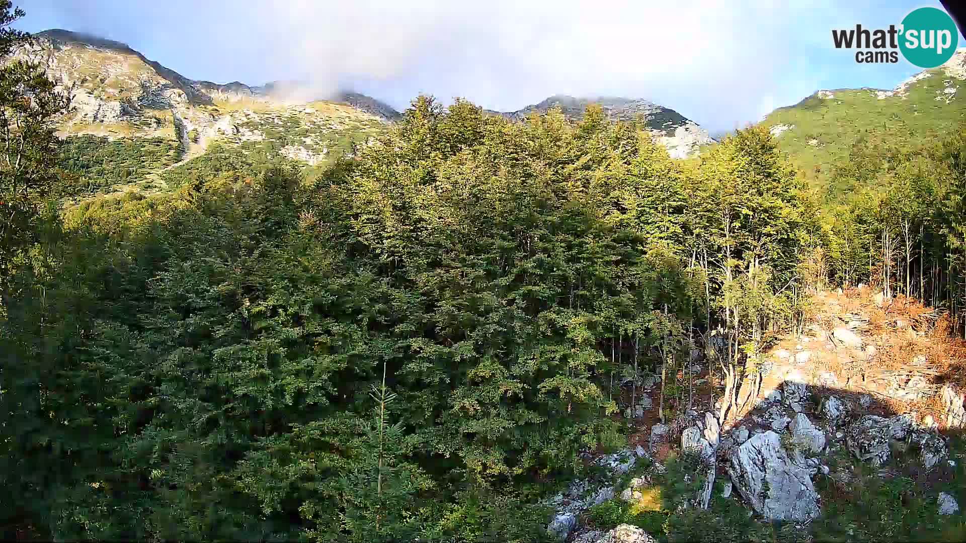 PLANINA RAZOR webcam (1315) | view to Vogel and Globoko