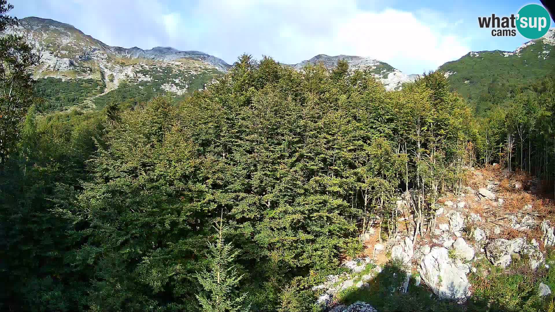 PLANINA RAZOR kamera (1315) | pogled na Vogel in Globoko