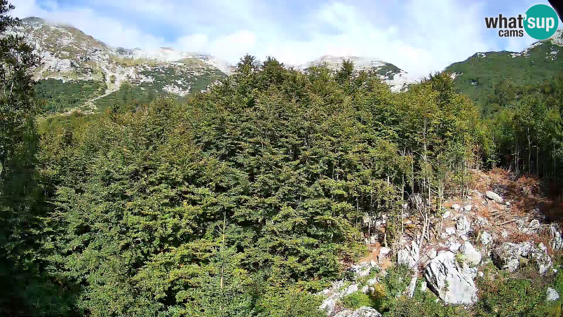 PLANINA RAZOR web kamera (1315) | pogled na Vogel i Globoko