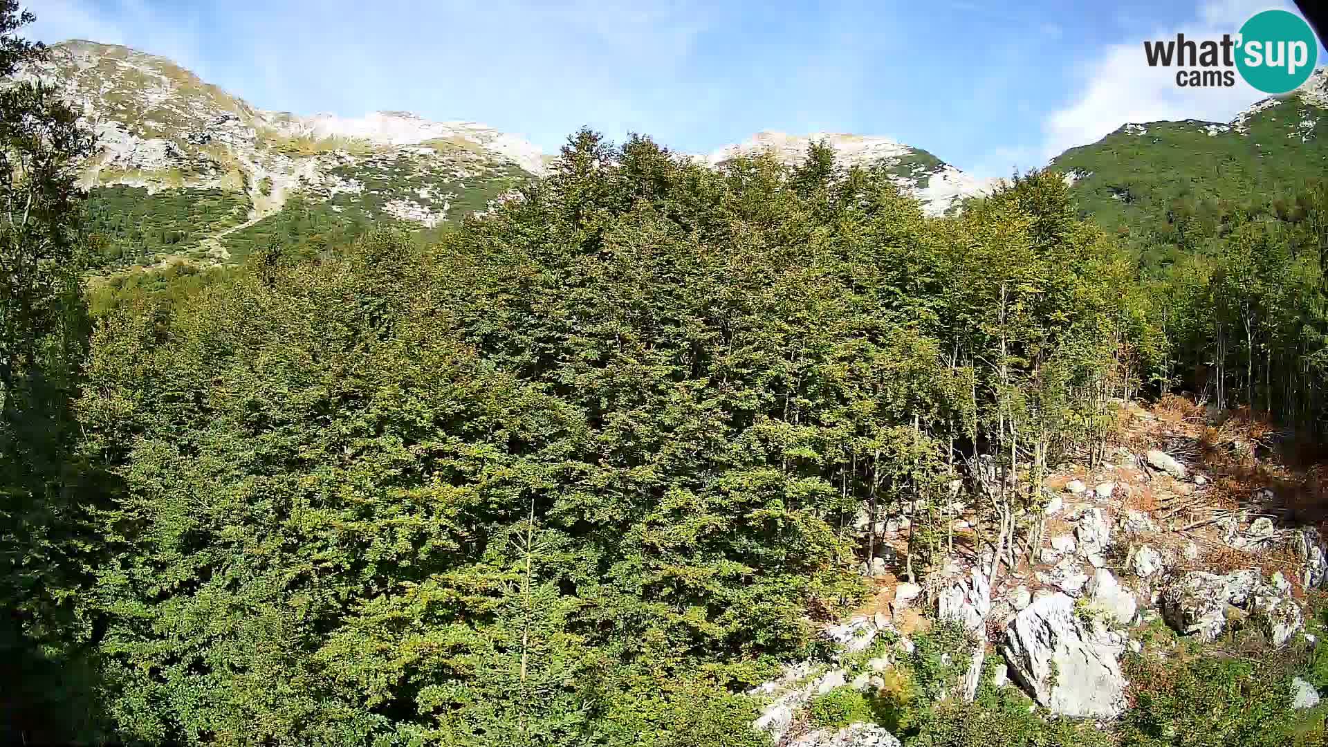 PLANINA RAZOR Live Cam (1315) | vista su Vogel e Globoko
