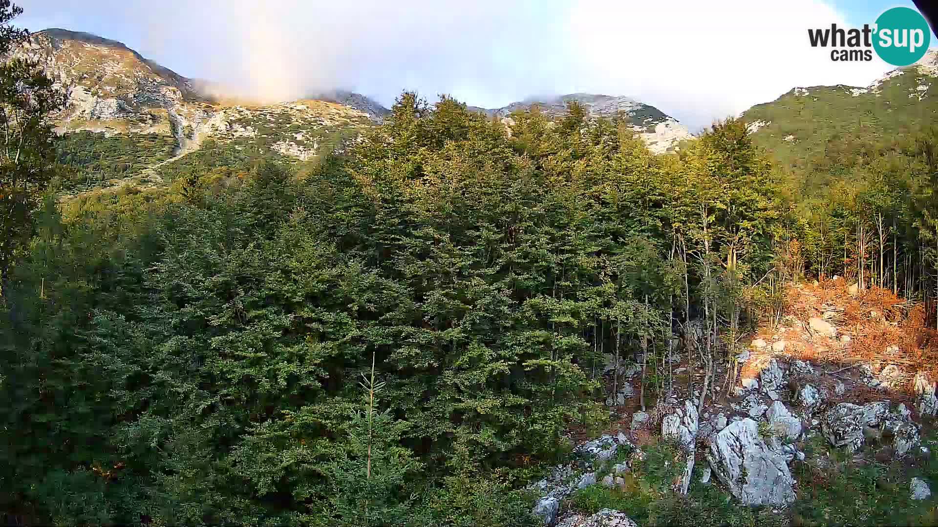 Cámara web PLANINA RAZOR (1315) | vista a Vogel y Globoko