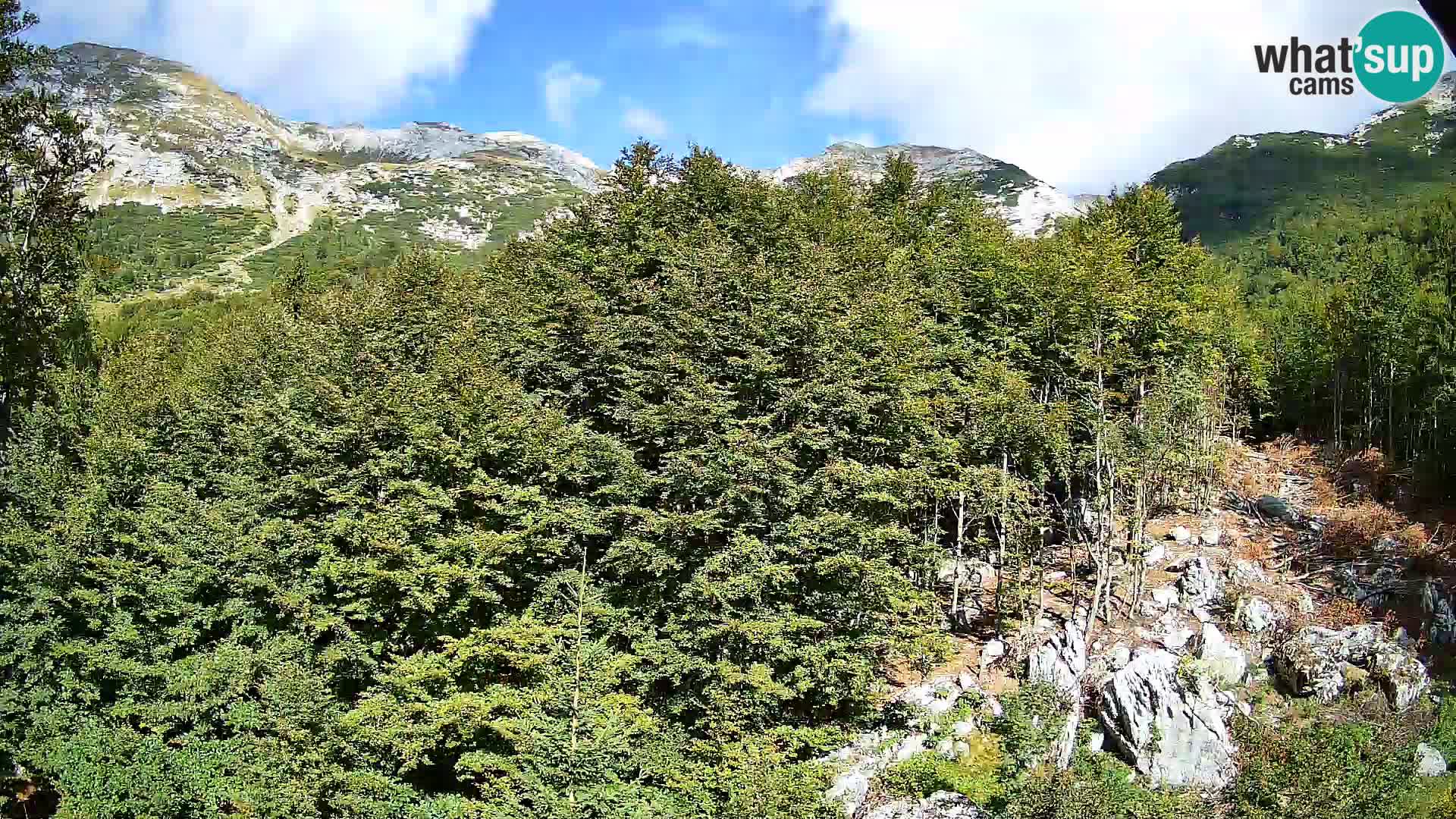 PLANINA RAZOR webcam (1315) | view to Vogel and Globoko