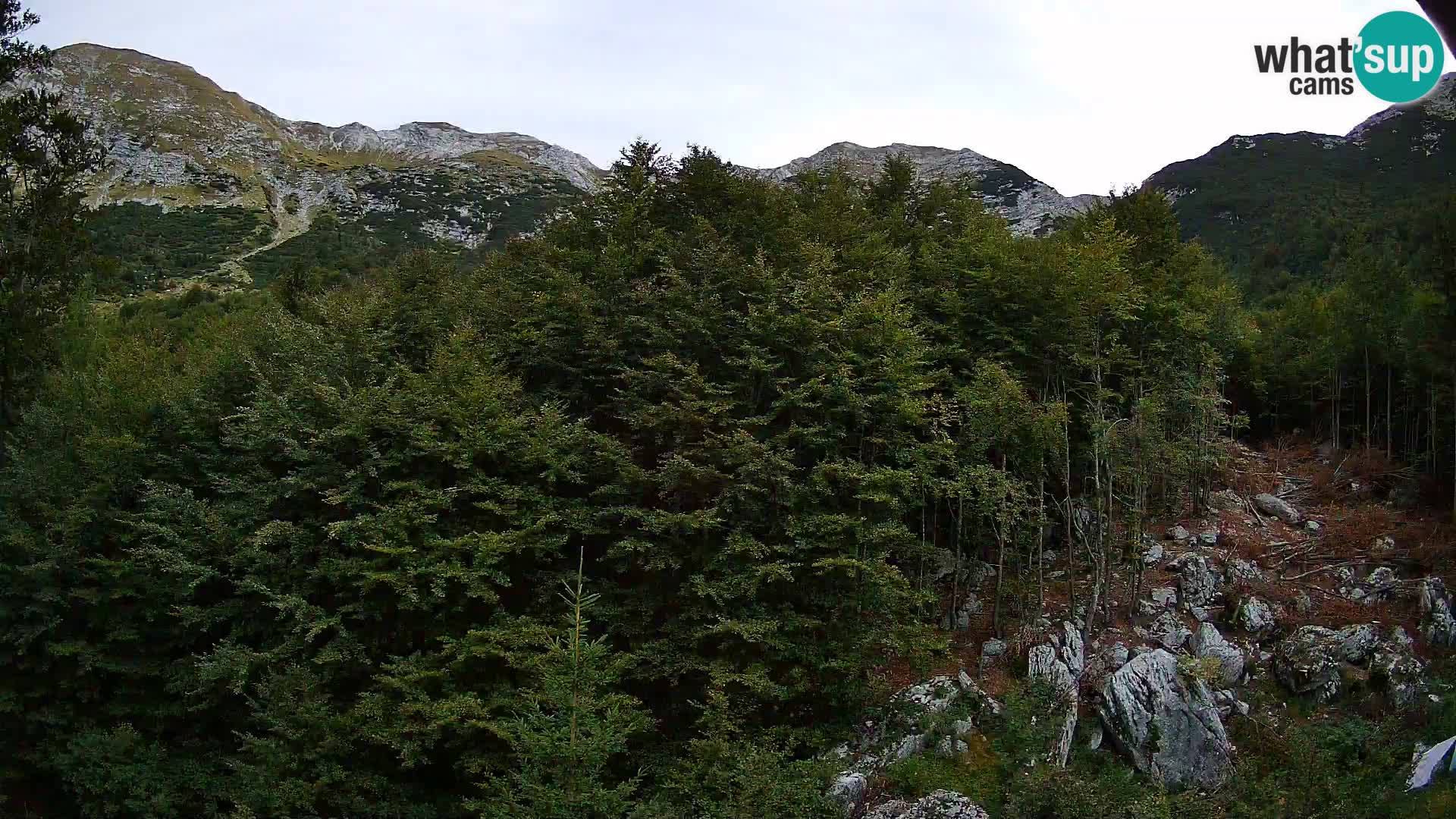 PLANINA RAZOR webcam (1315) | view to Vogel and Globoko