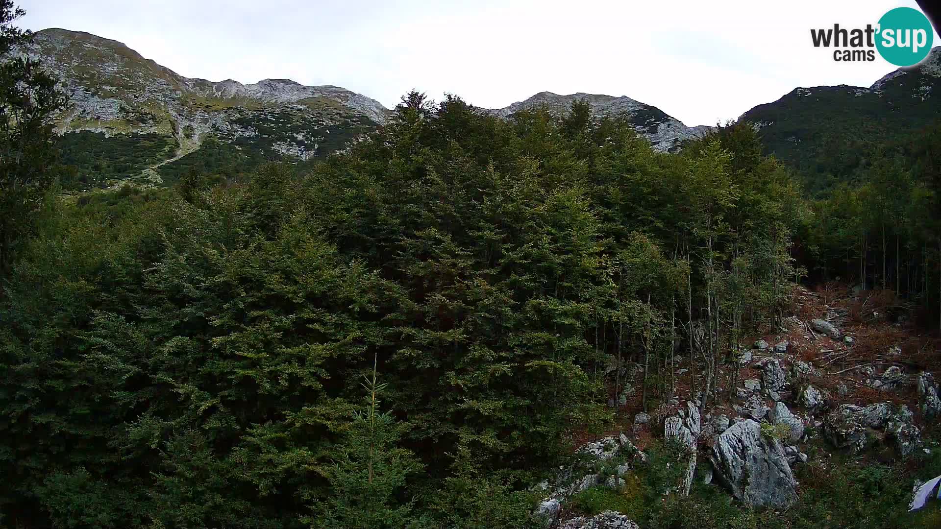 PLANINA RAZOR Live Cam (1315) | vista su Vogel e Globoko