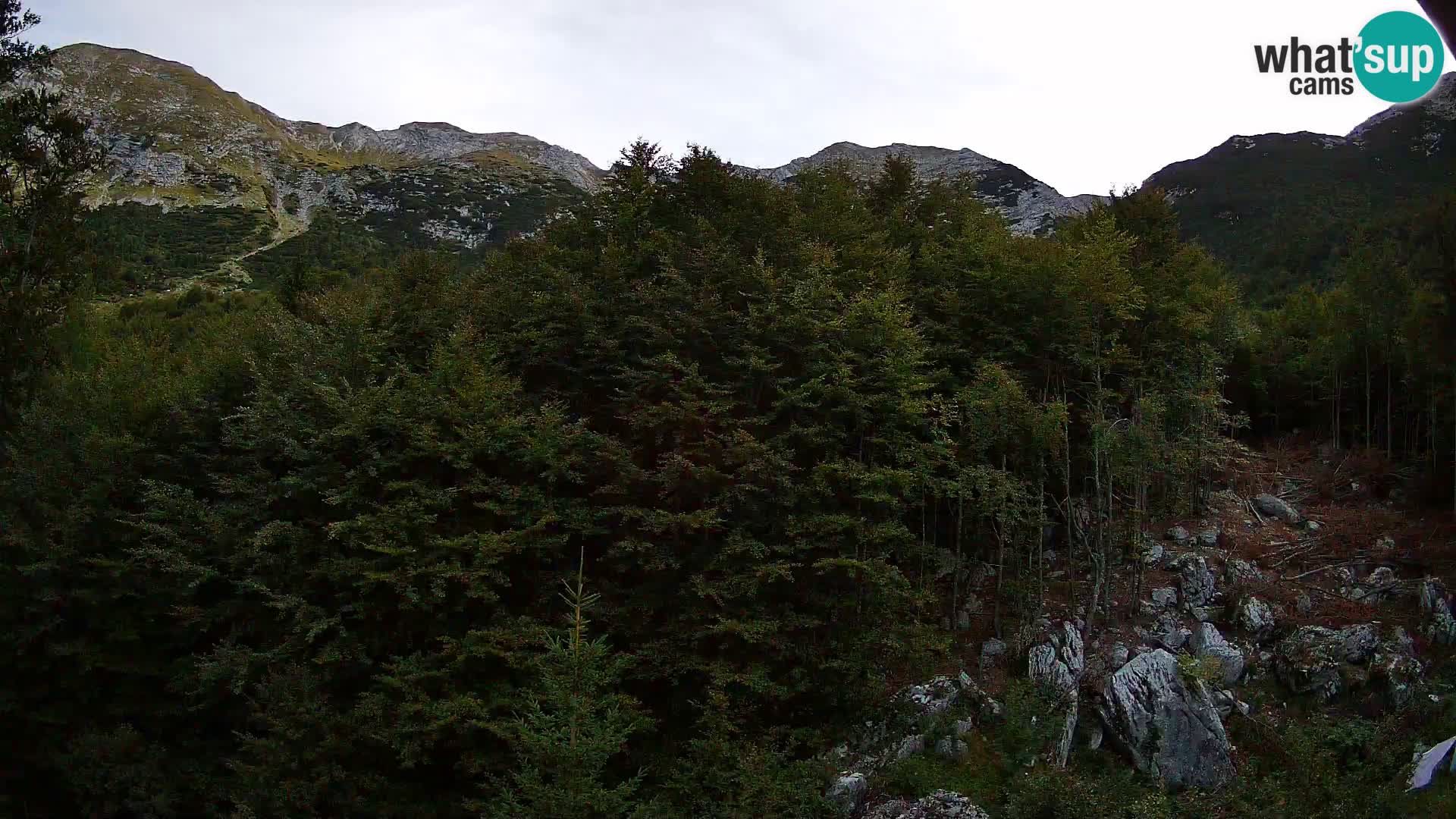 PLANINA RAZOR Live Cam (1315) | vista su Vogel e Globoko