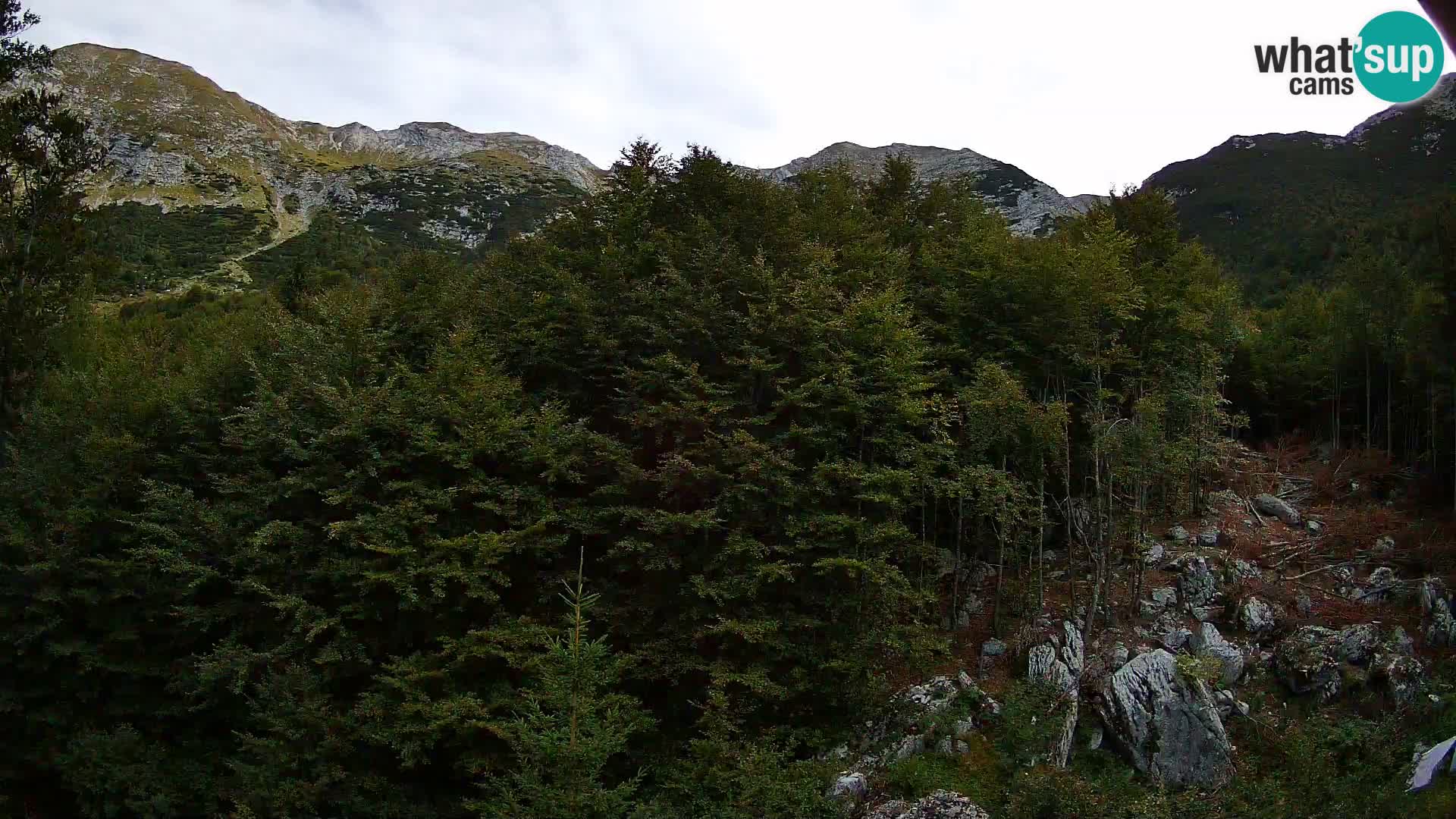 PLANINA RAZOR Live Cam (1315) | vista su Vogel e Globoko