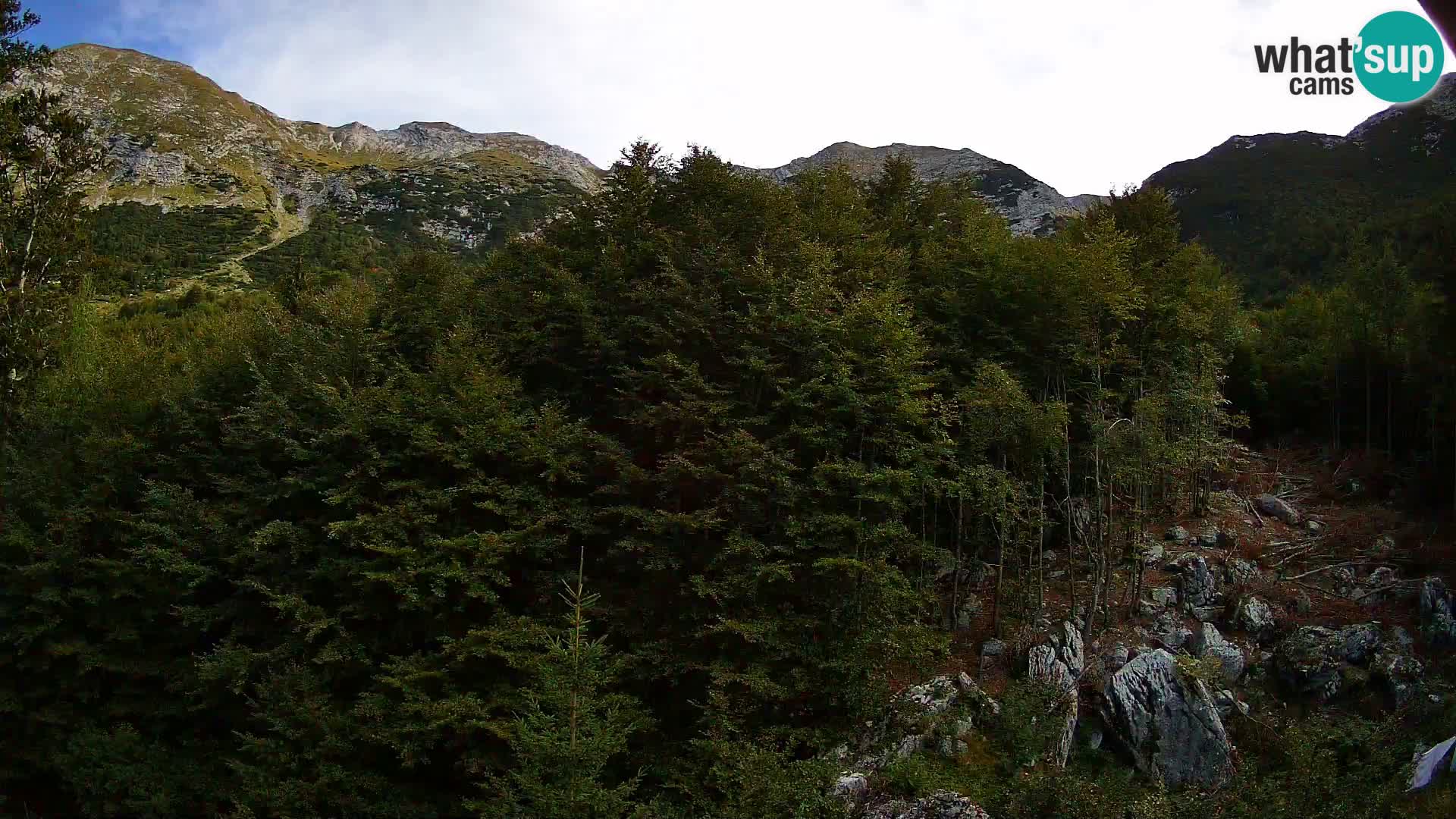 PLANINA RAZOR Live Cam (1315) | vista su Vogel e Globoko