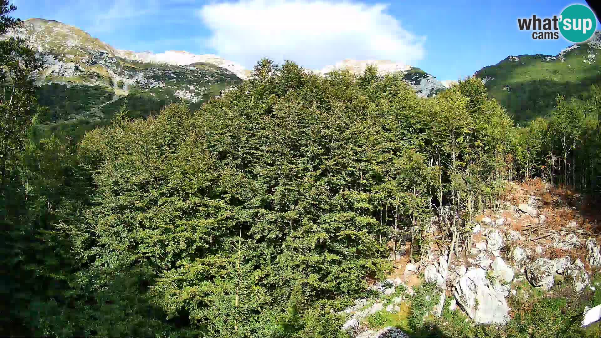 PLANINA RAZOR kamera (1315) | pogled na Vogel in Globoko