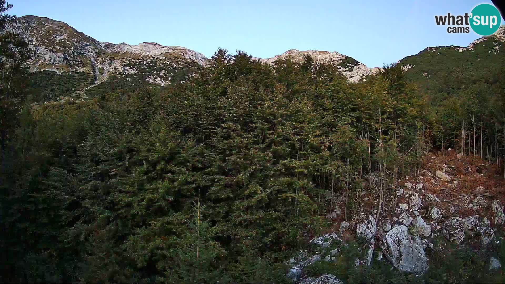 PLANINA RAZOR web kamera (1315) | pogled na Vogel i Globoko