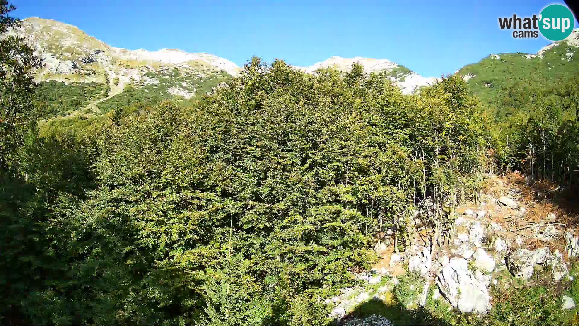 Cámara web PLANINA RAZOR (1315) | vista a Vogel y Globoko