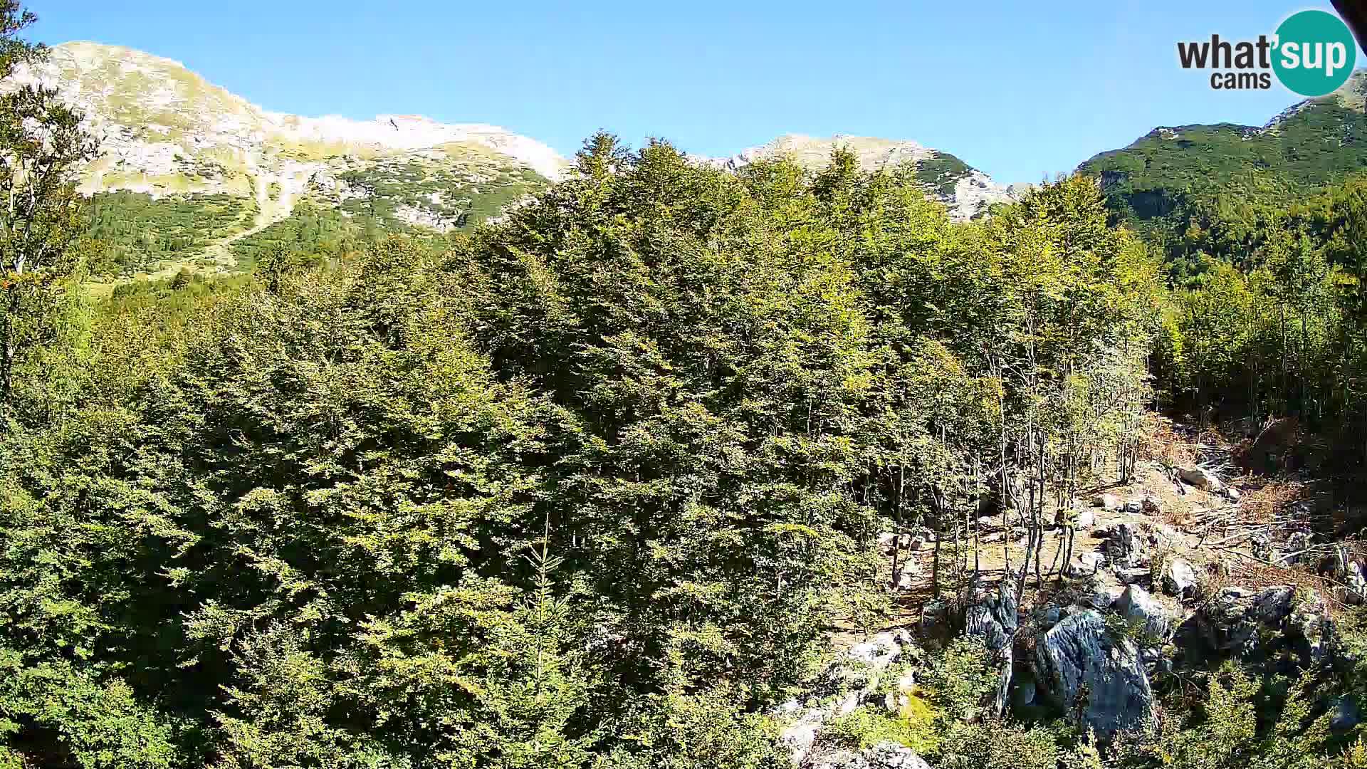 PLANINA RAZOR webcam (1315) | view to Vogel and Globoko