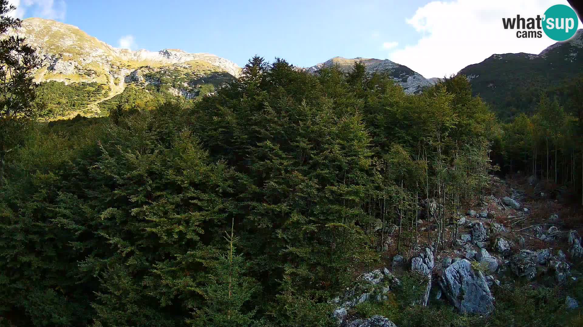 PLANINA RAZOR web kamera (1315) | pogled na Vogel i Globoko
