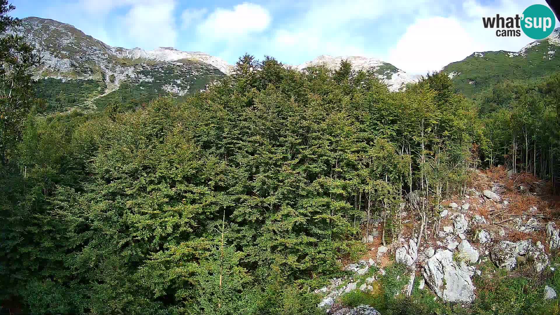 PLANINA RAZOR webcam (1315) | view to Vogel and Globoko