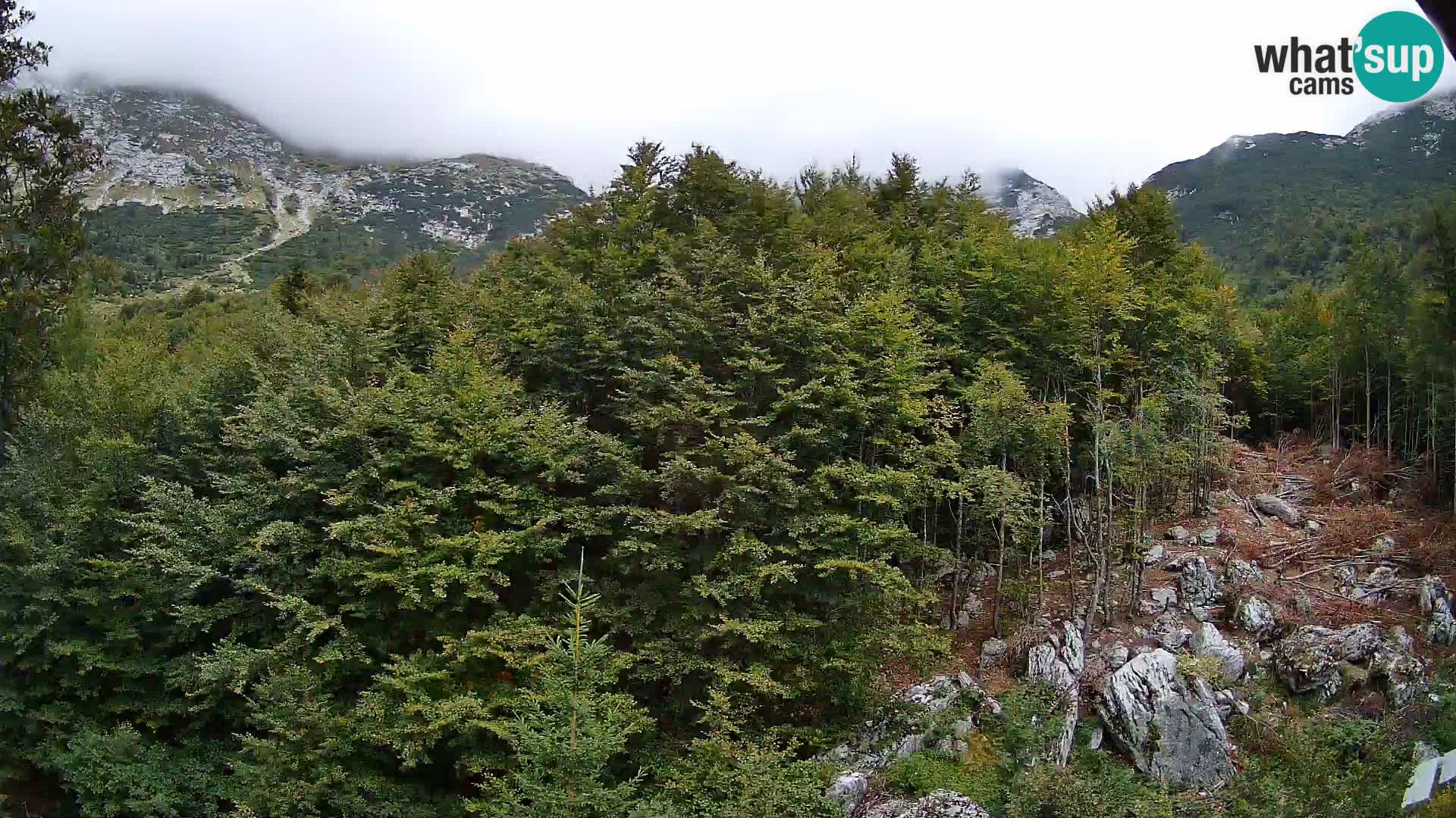 PLANINA RAZOR webcam (1315) | view to Vogel and Globoko
