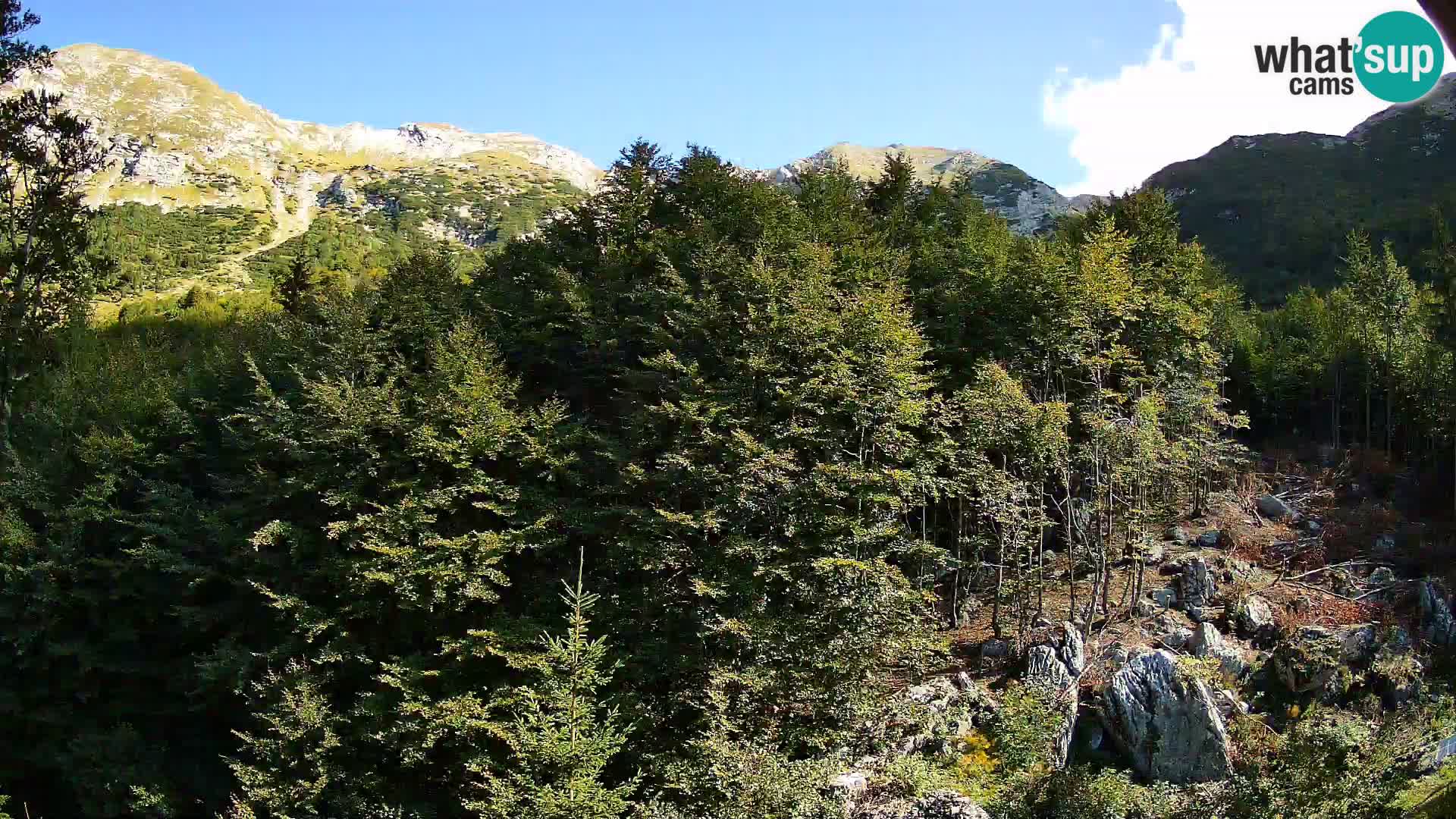 Webcam PLANINA RAZOR (1315) | Blick auf Vogel und Globoko