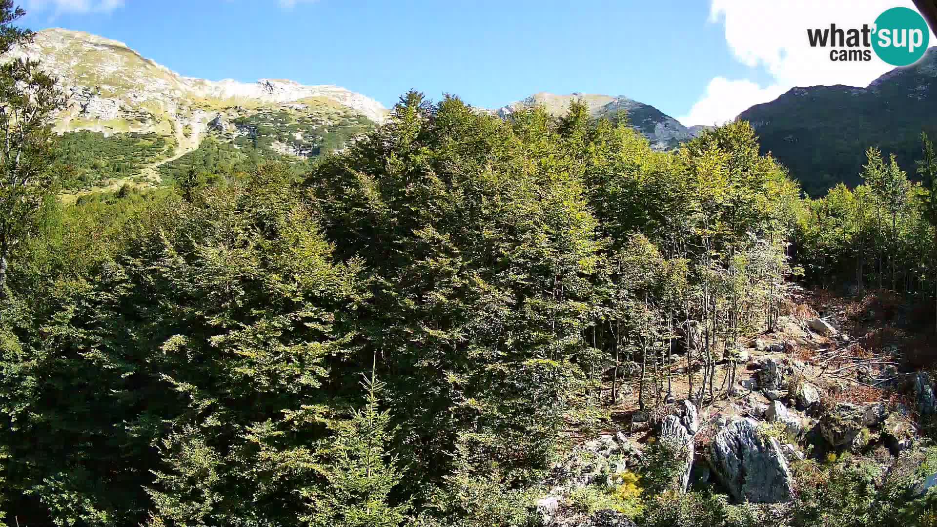 PLANINA RAZOR Live Cam (1315) | vista su Vogel e Globoko
