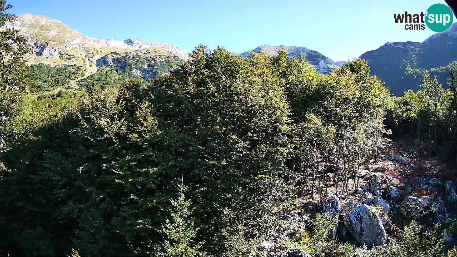PLANINA RAZOR webcam (1315) | view to Vogel and Globoko