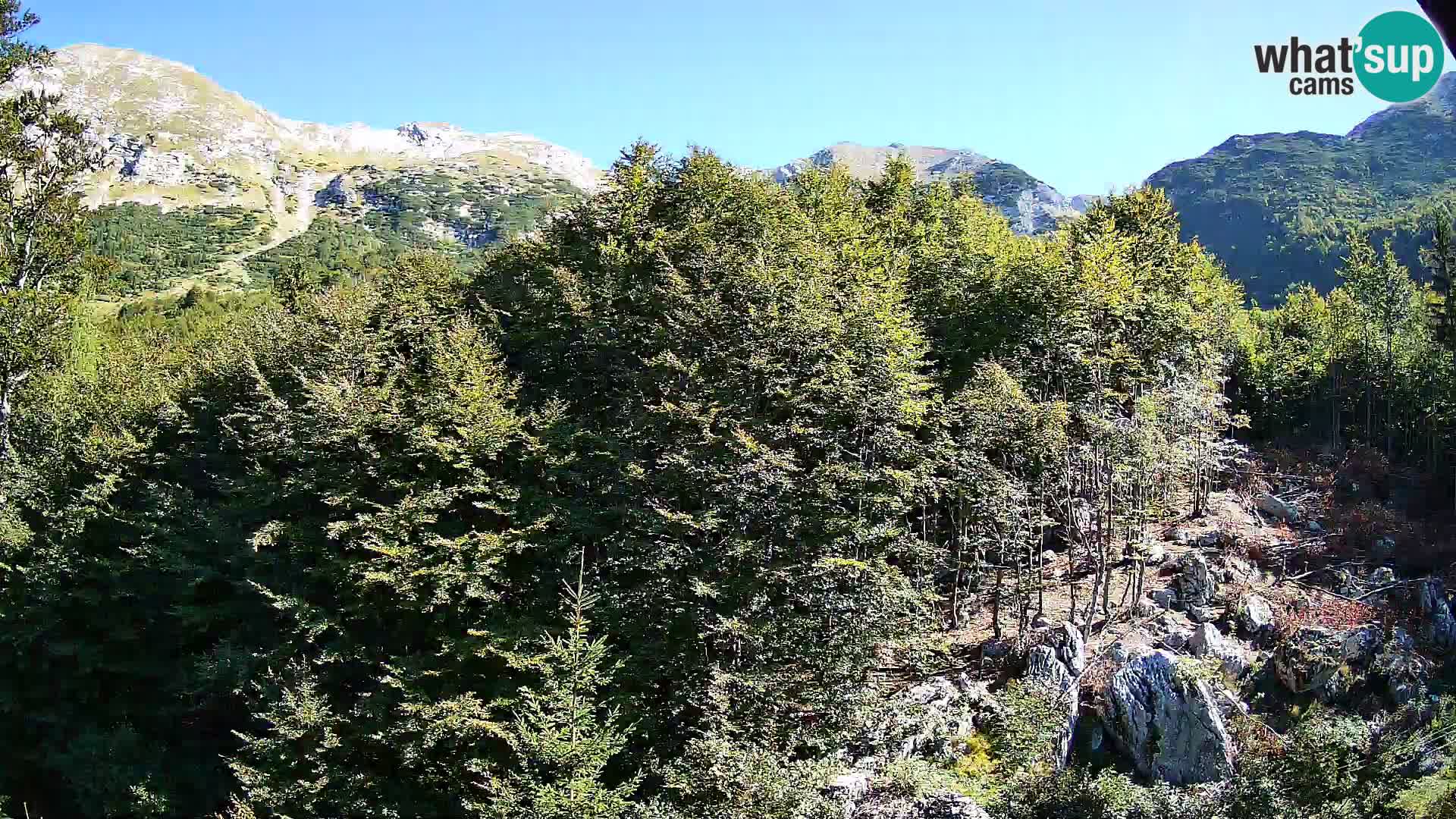 Livecam PLANINA RAZOR (1315) | vue sur Vogel et Globoko