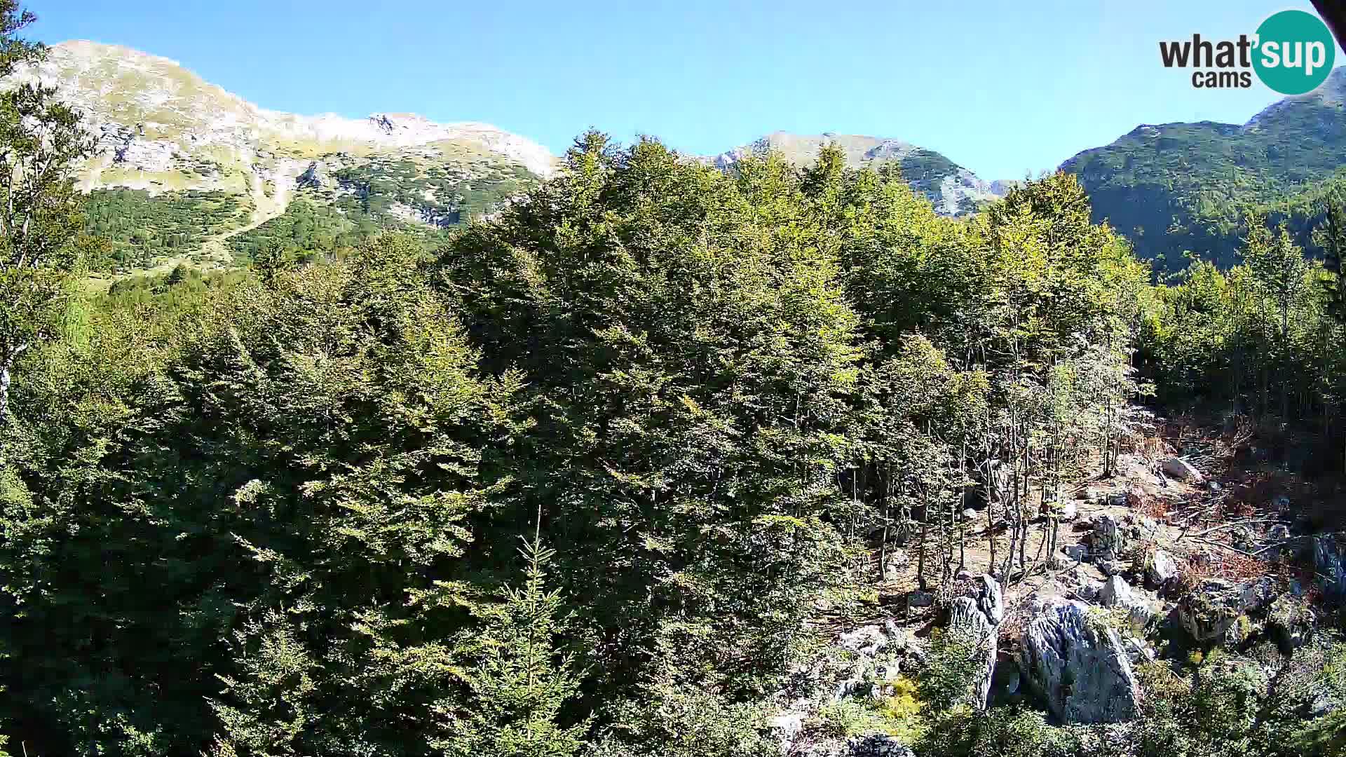 PLANINA RAZOR Live Cam (1315) | vista su Vogel e Globoko