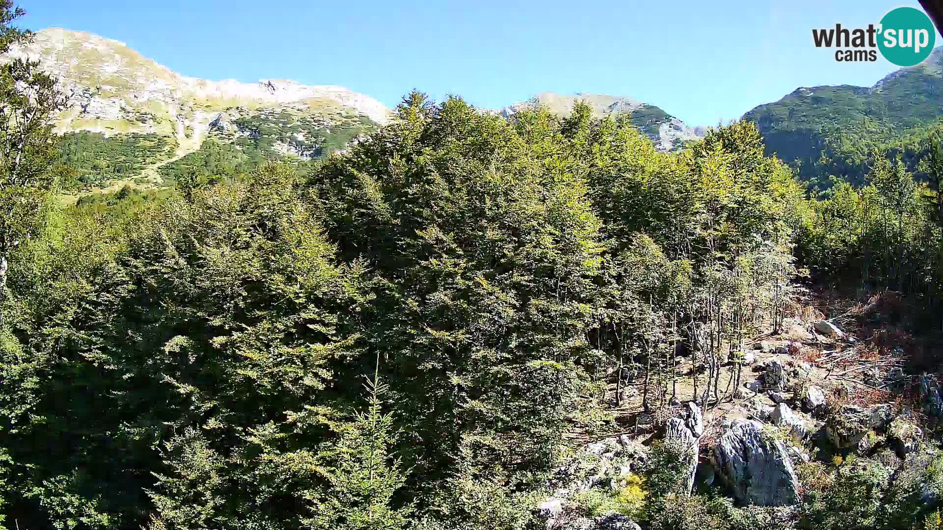 PLANINA RAZOR Live Cam (1315) | vista su Vogel e Globoko