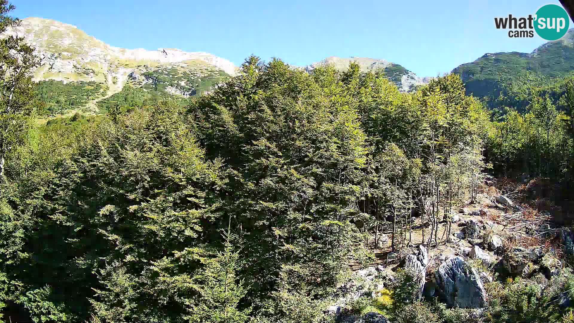 Webcam PLANINA RAZOR (1315) | Blick auf Vogel und Globoko