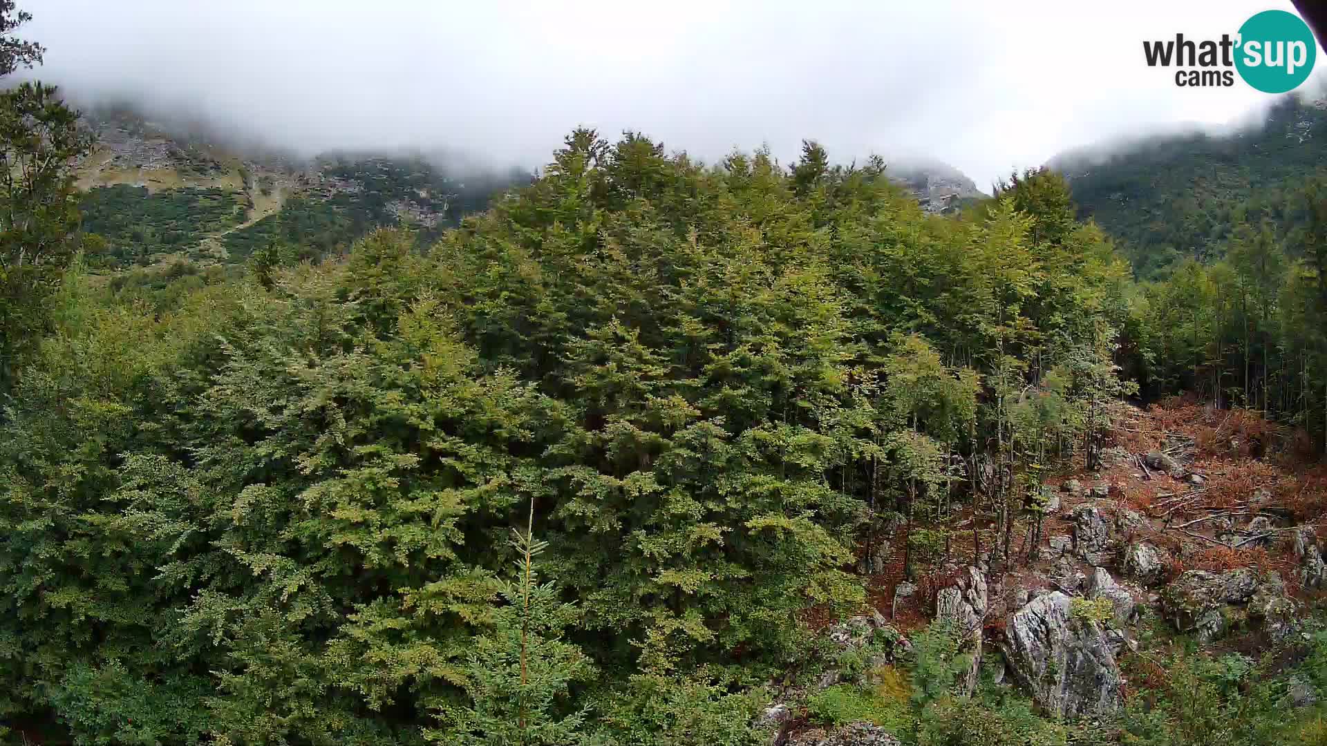 PLANINA RAZOR Live Cam (1315) | vista su Vogel e Globoko