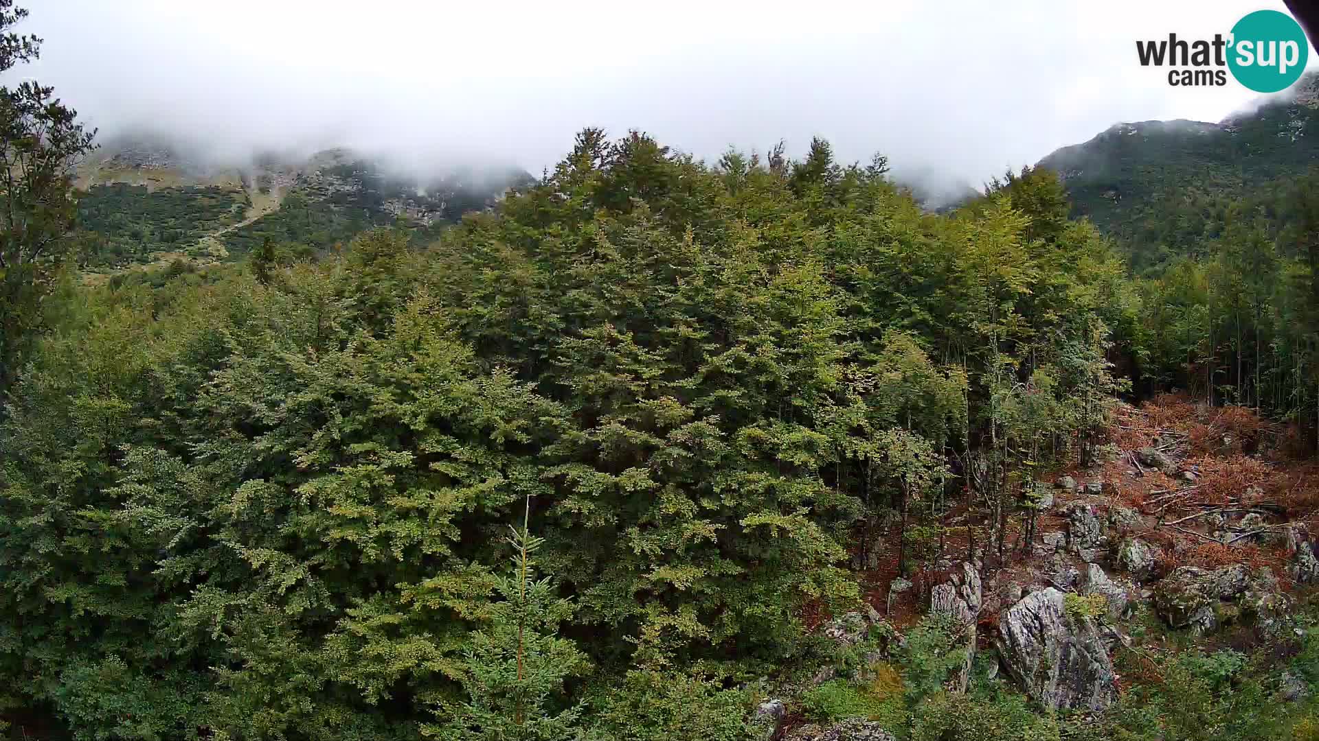 PLANINA RAZOR kamera (1315) | pogled na Vogel in Globoko