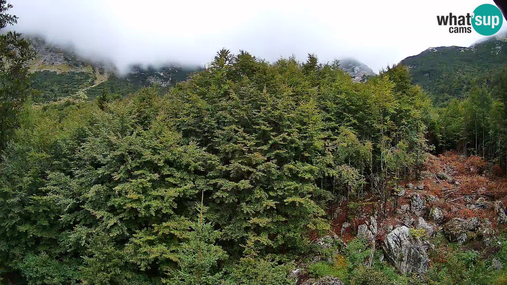 Livecam PLANINA RAZOR (1315) | vue sur Vogel et Globoko