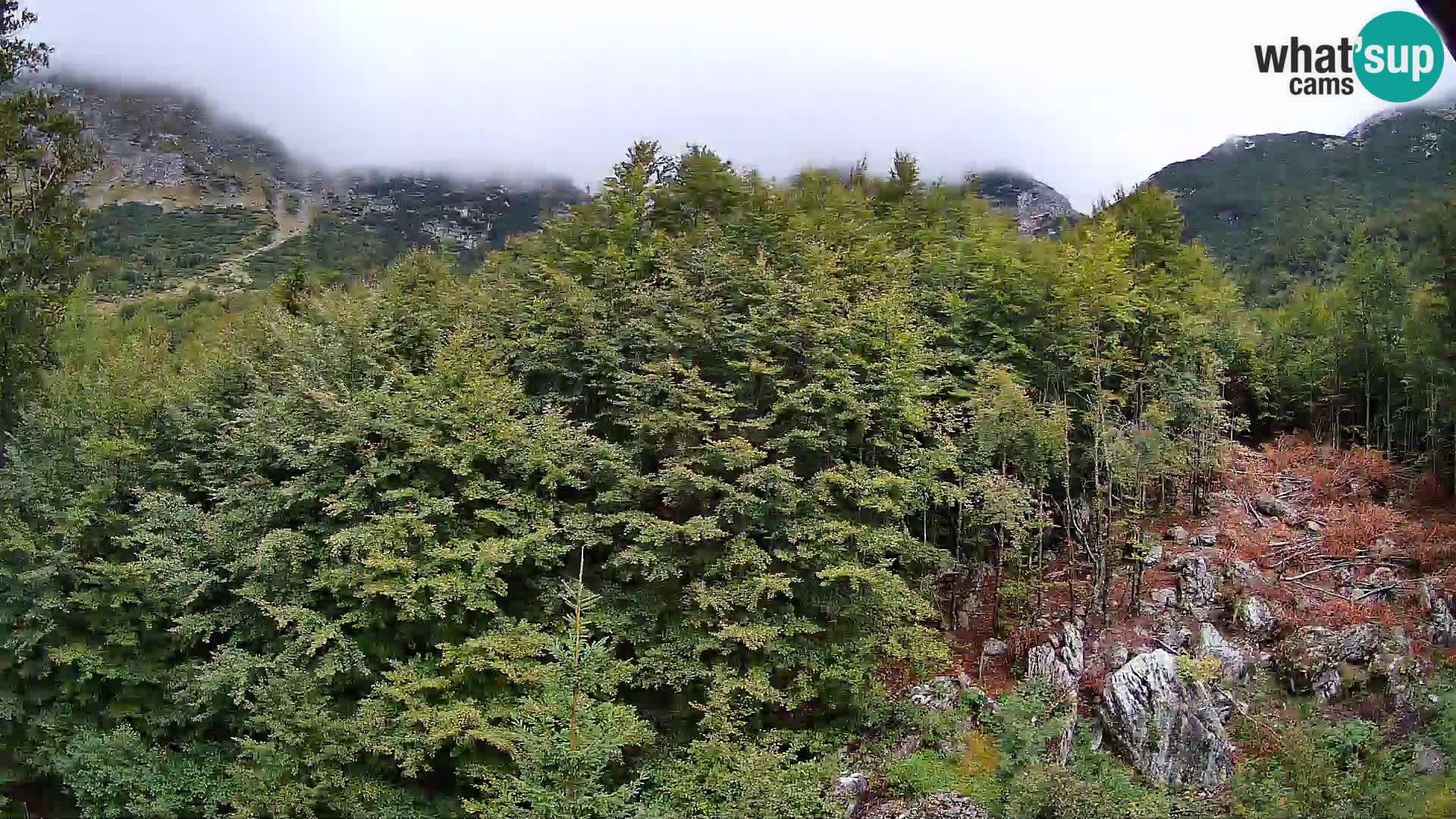 Cámara web PLANINA RAZOR (1315) | vista a Vogel y Globoko