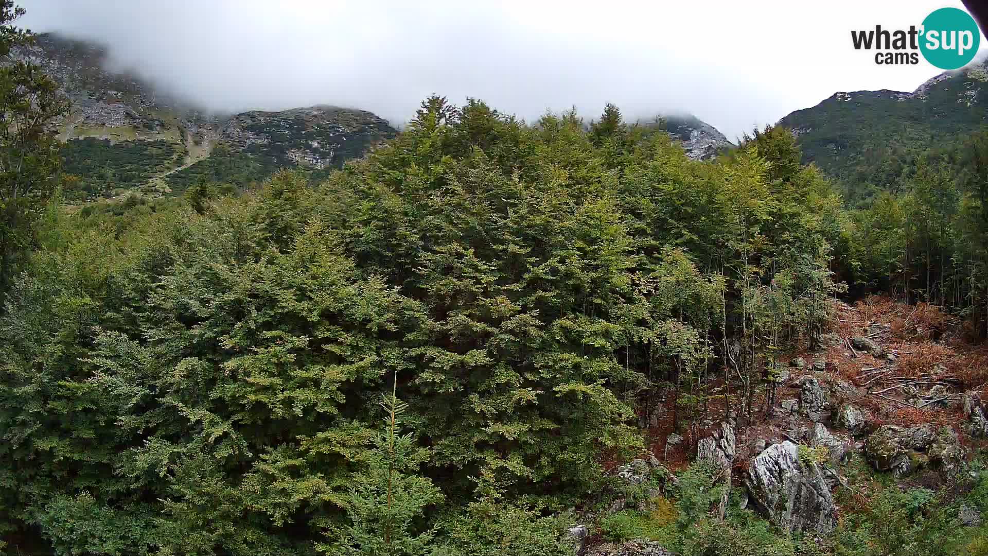 PLANINA RAZOR kamera (1315) | pogled na Vogel in Globoko