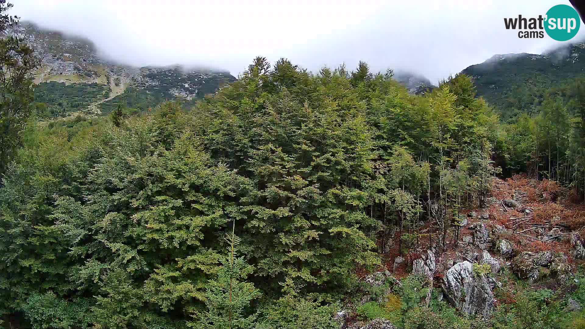 Livecam PLANINA RAZOR (1315) | vue sur Vogel et Globoko