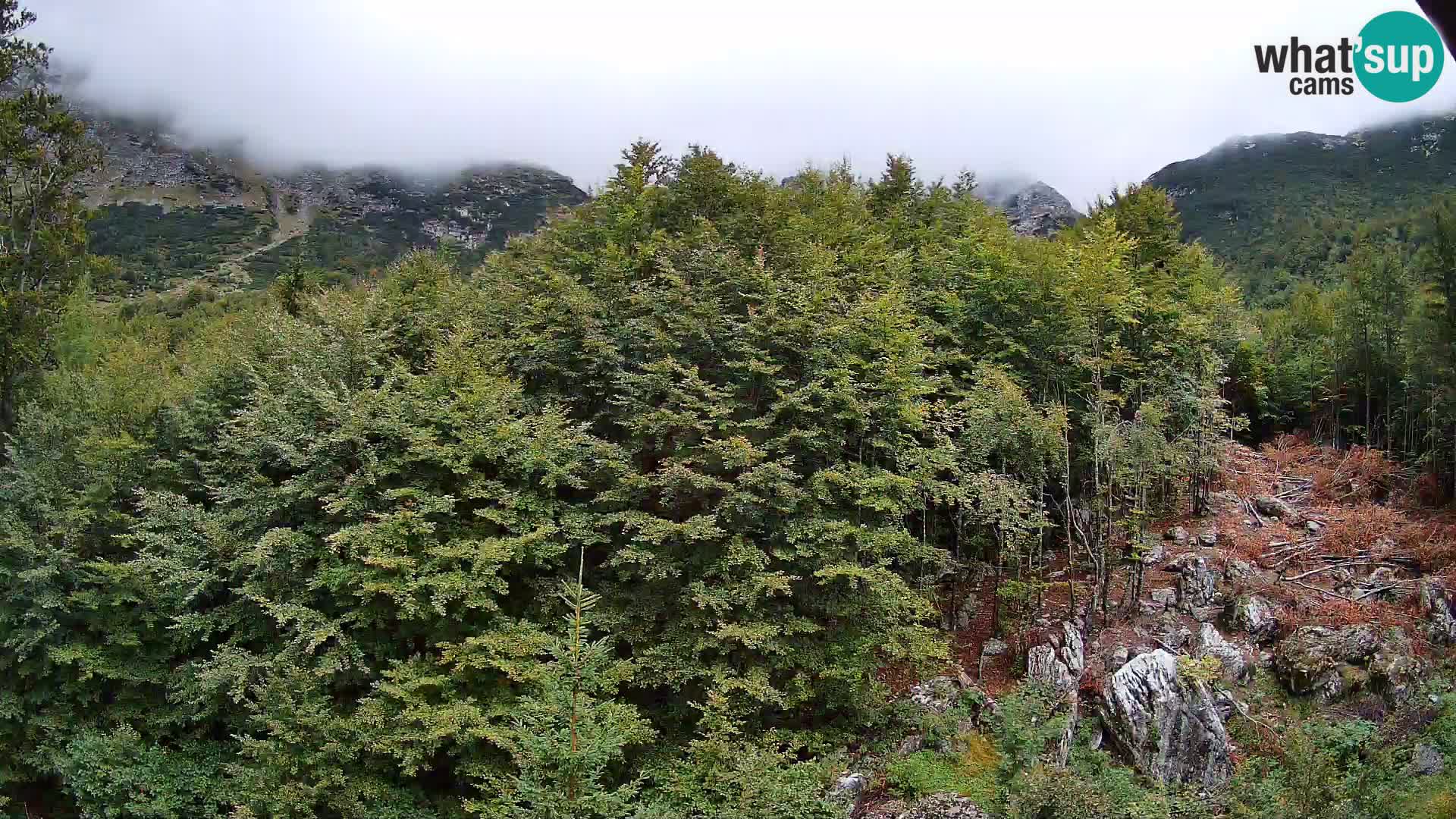 Webcam PLANINA RAZOR (1315) | Blick auf Vogel und Globoko