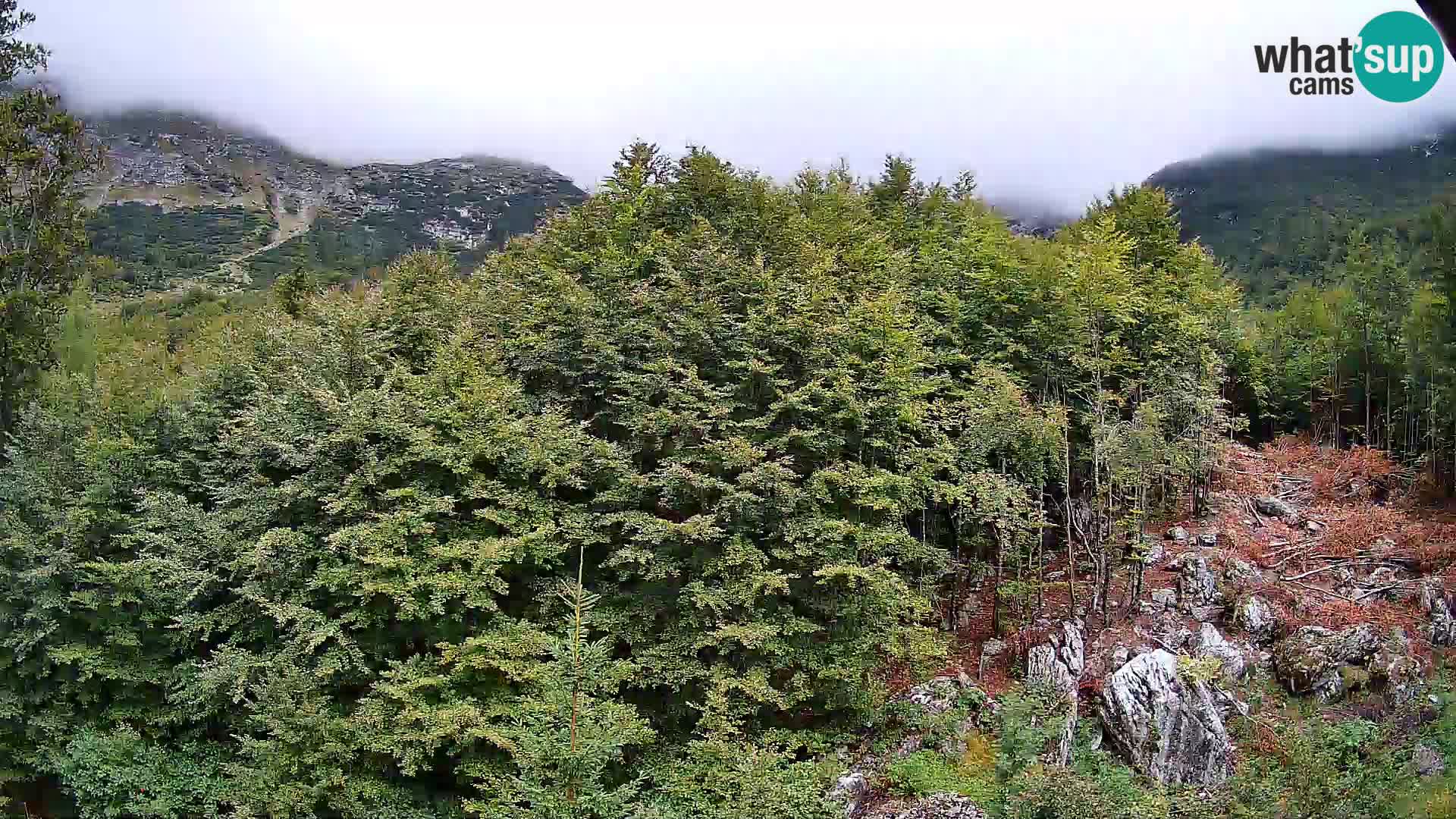 PLANINA RAZOR Live Cam (1315) | vista su Vogel e Globoko