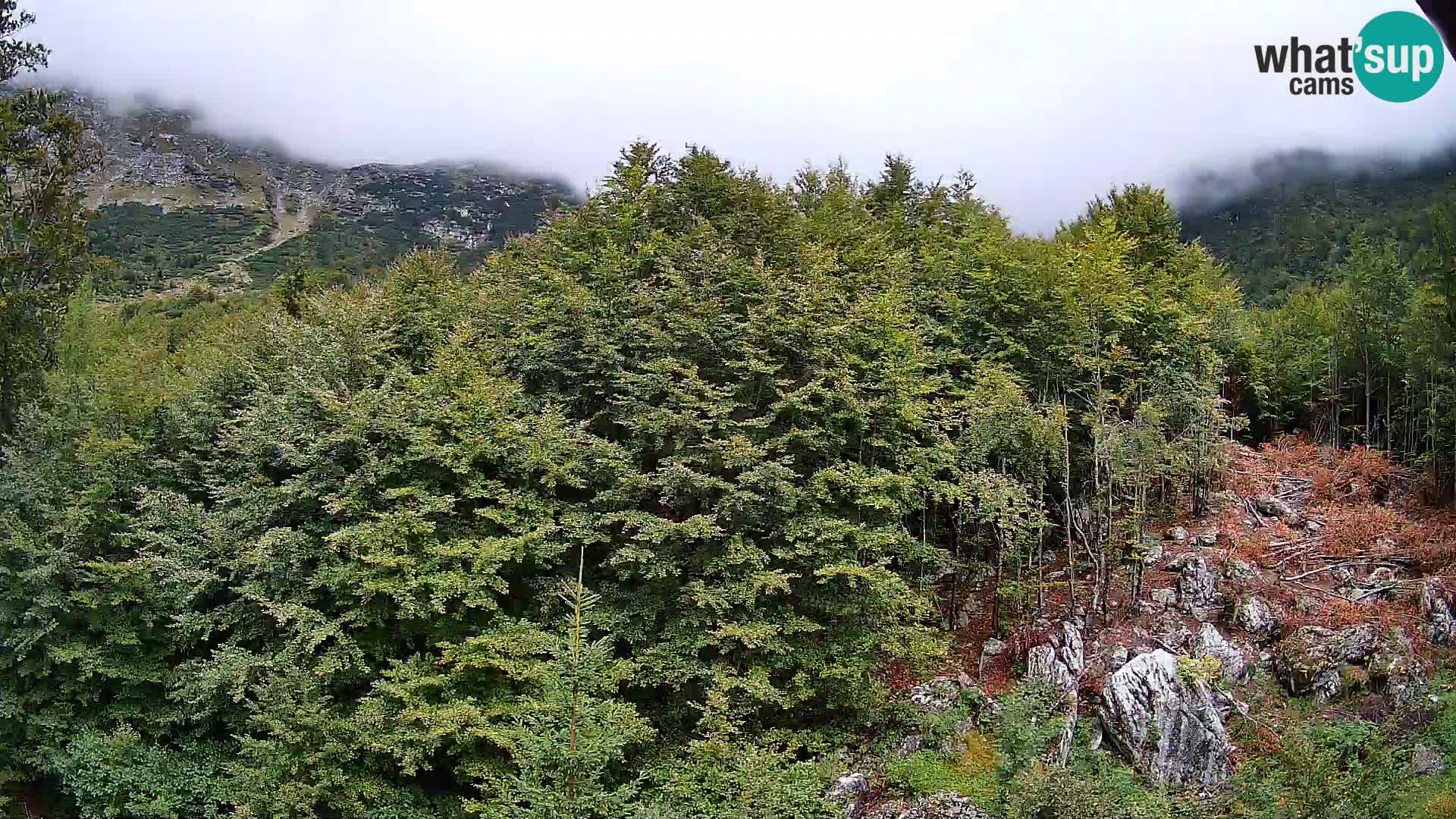 PLANINA RAZOR kamera (1315) | pogled na Vogel in Globoko