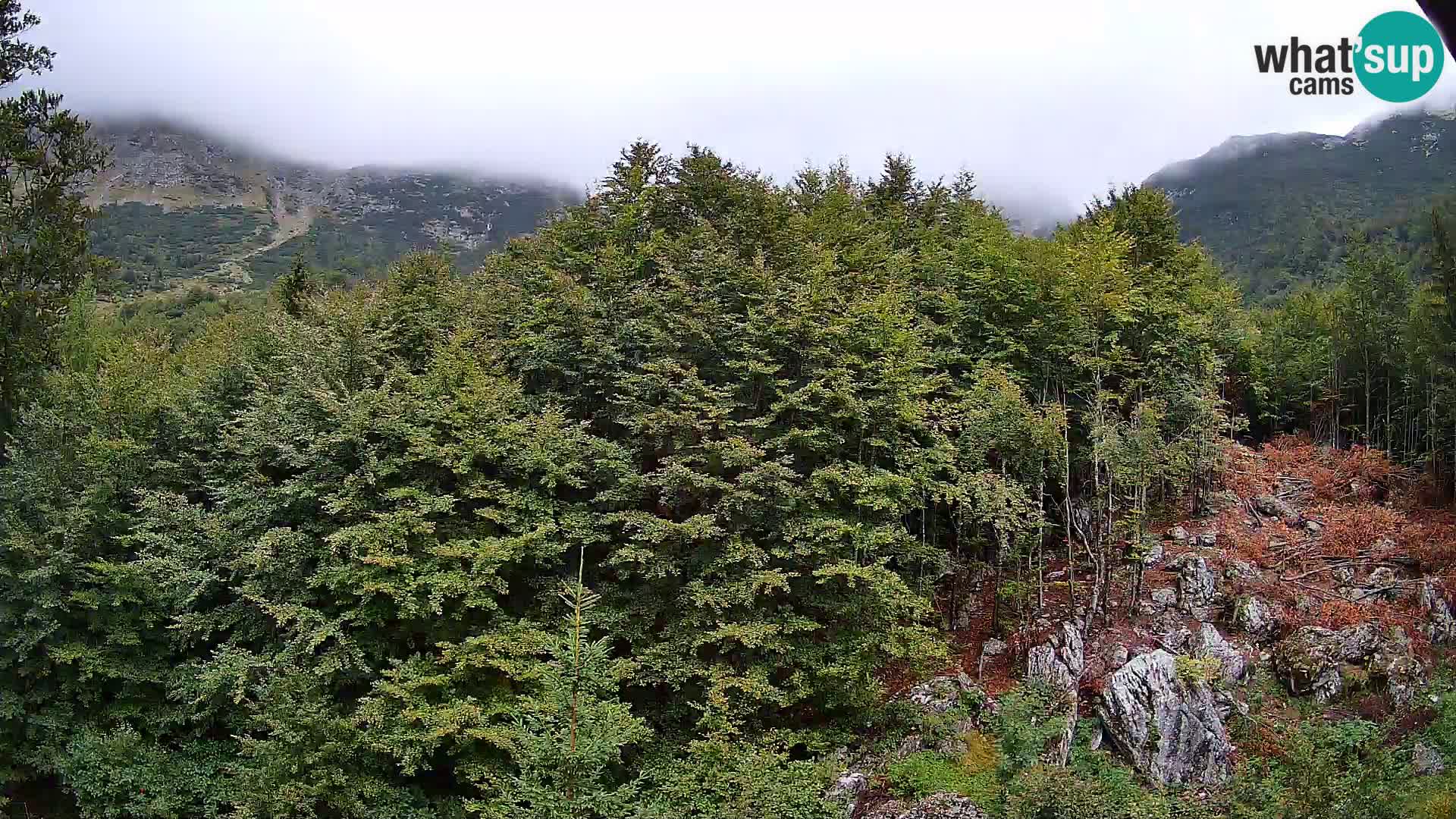 Livecam PLANINA RAZOR (1315) | vue sur Vogel et Globoko