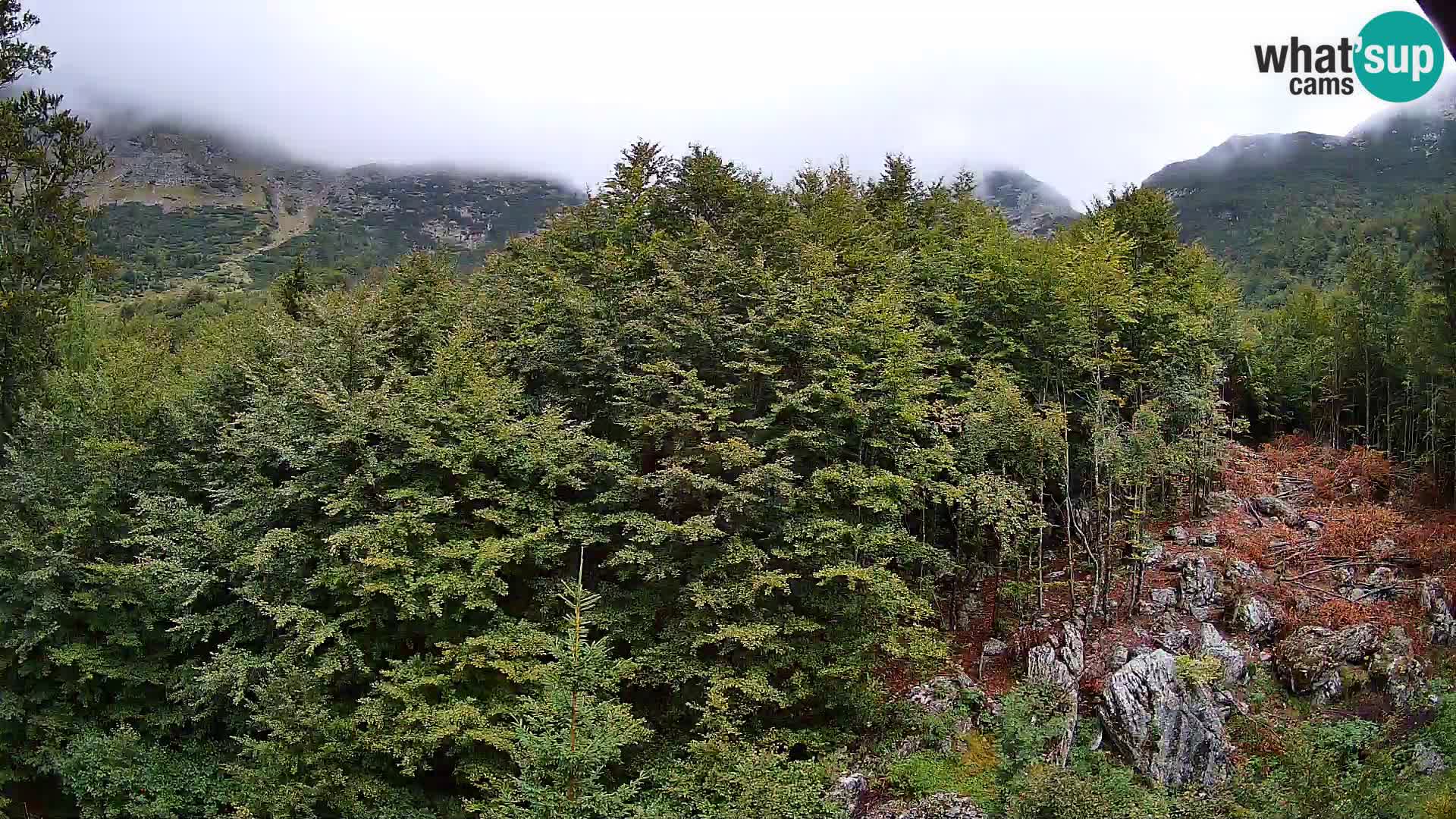 PLANINA RAZOR web kamera (1315) | pogled na Vogel i Globoko