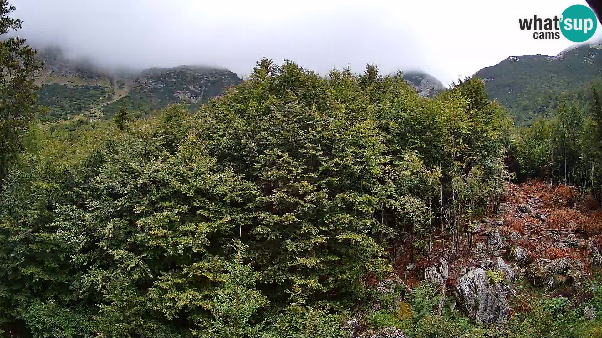 PLANINA RAZOR webcam (1315) | view to Vogel and Globoko