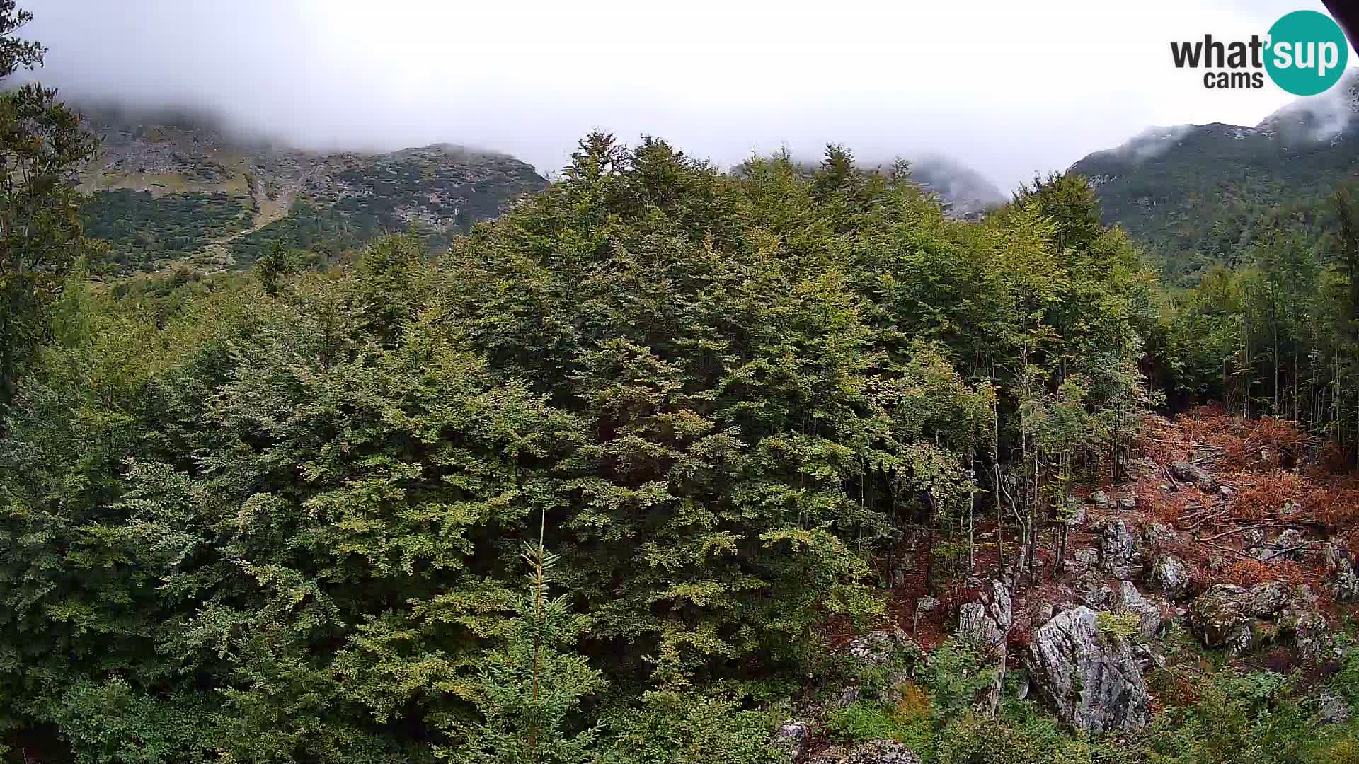 PLANINA RAZOR webcam (1315) | view to Vogel and Globoko